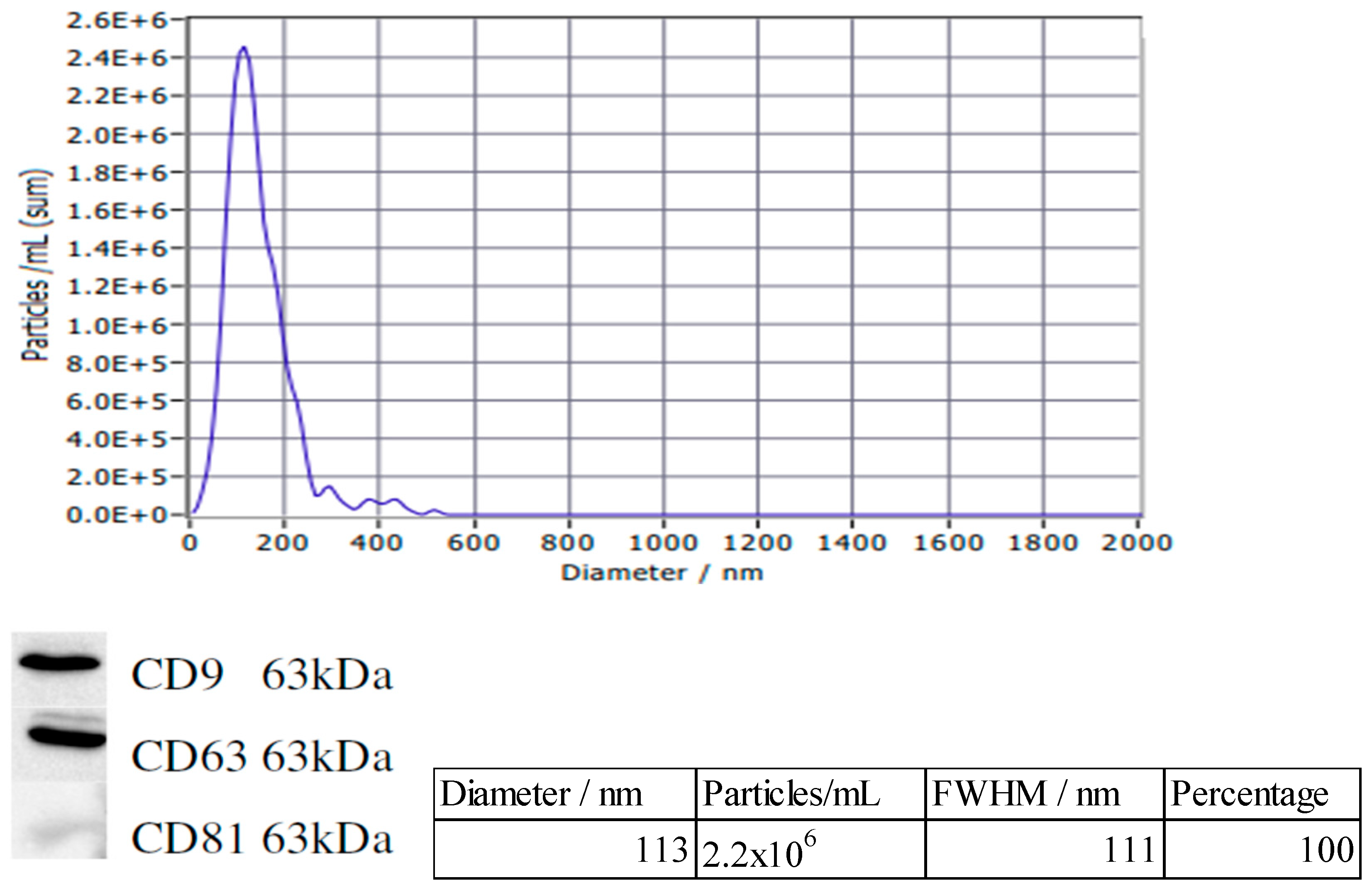 Engproc 89 00039 g003