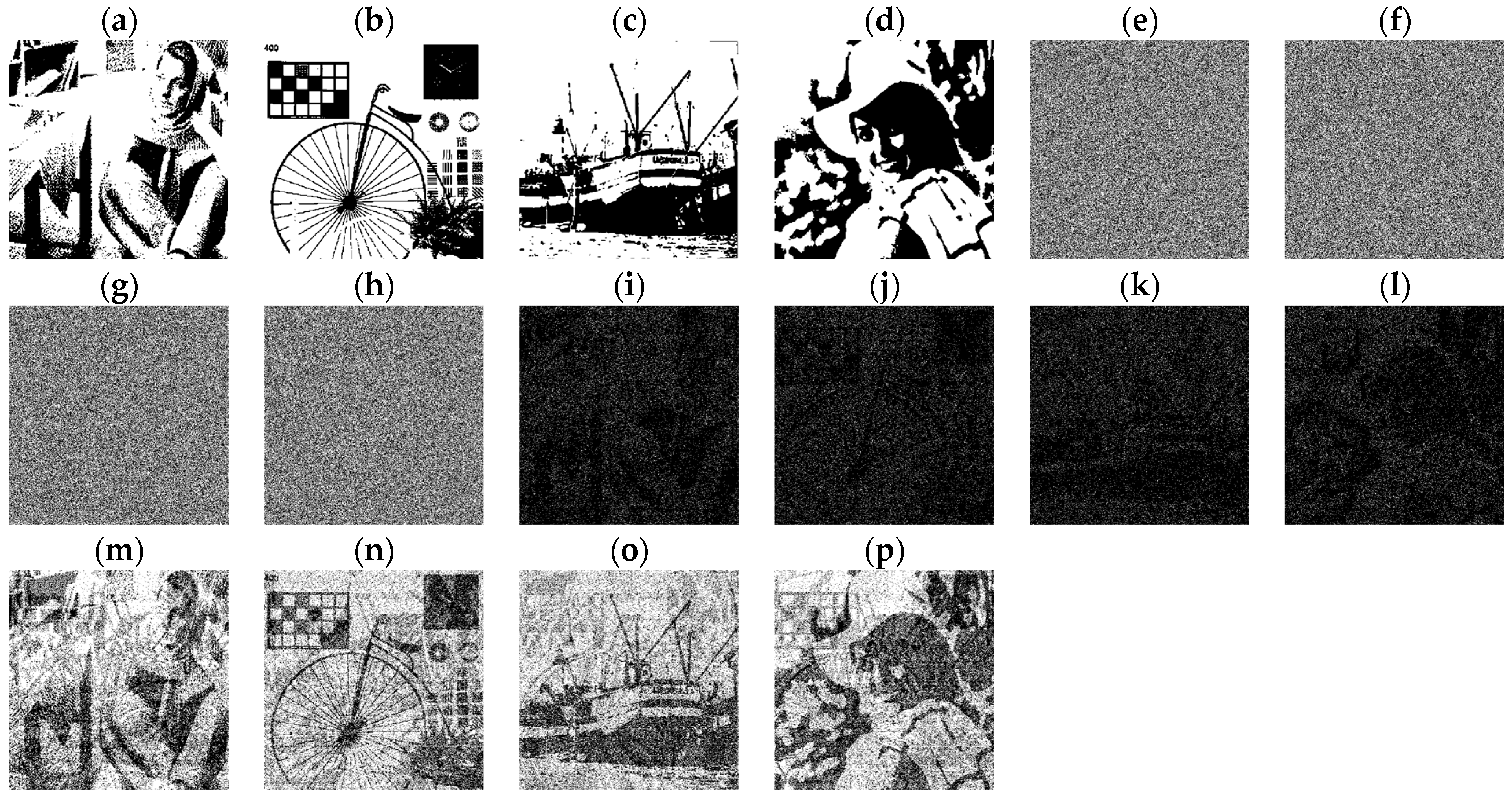 Engproc 89 00041 g004