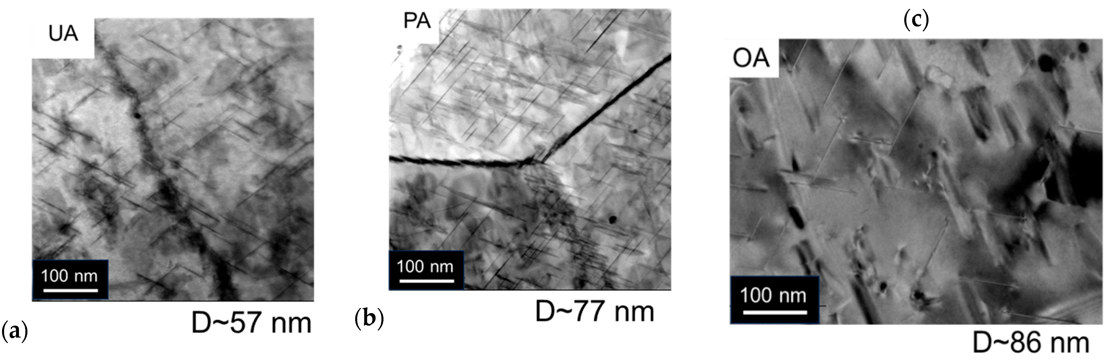 Engproc 90 00082 g001