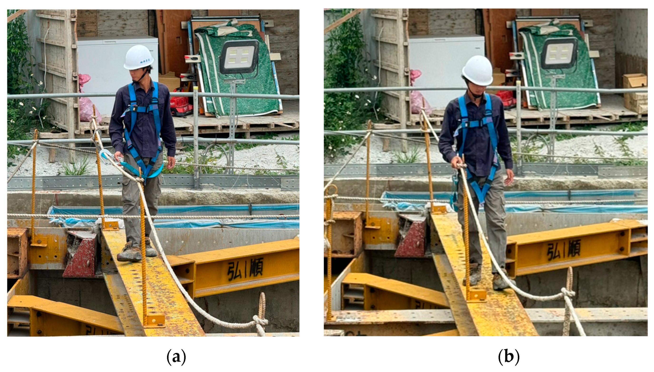 Engproc 91 00015 g002