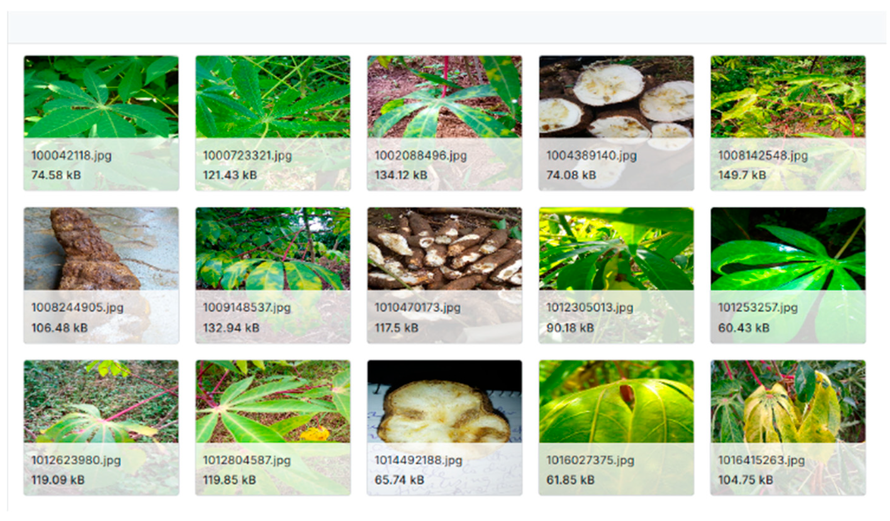 Engproc 92 00028 g008