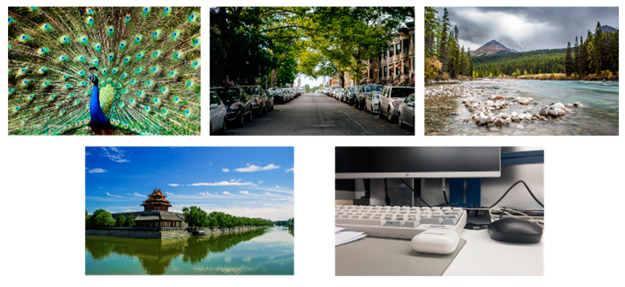 Engproc 92 00038 g005