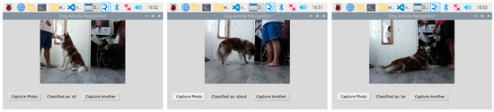 Dog Activity Recognition Using Convolutional Neural Network
