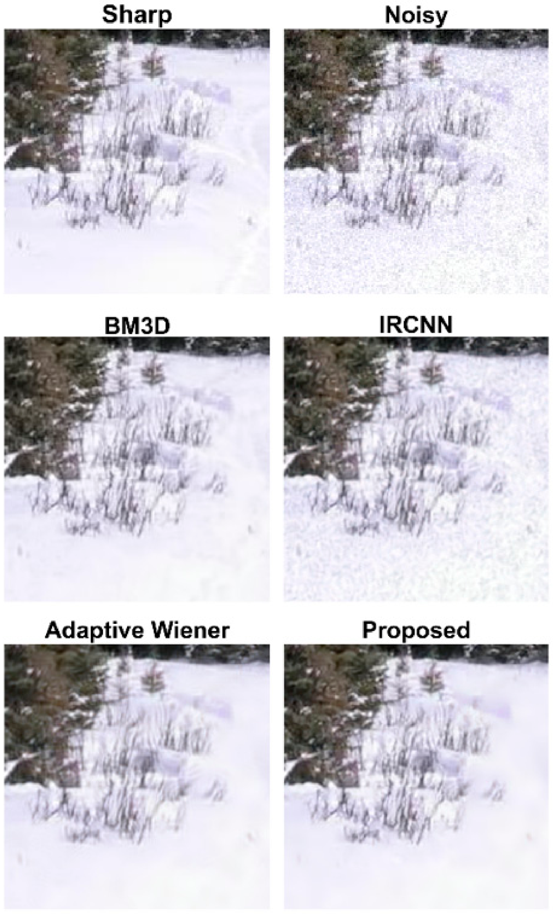 Engproc 92 00047 g017