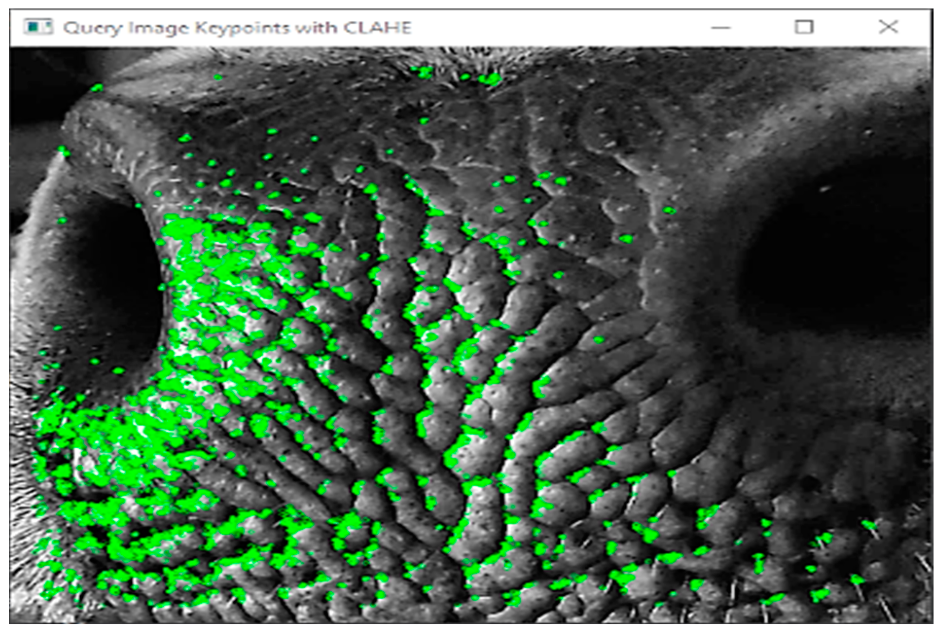 Engproc 92 00053 g005