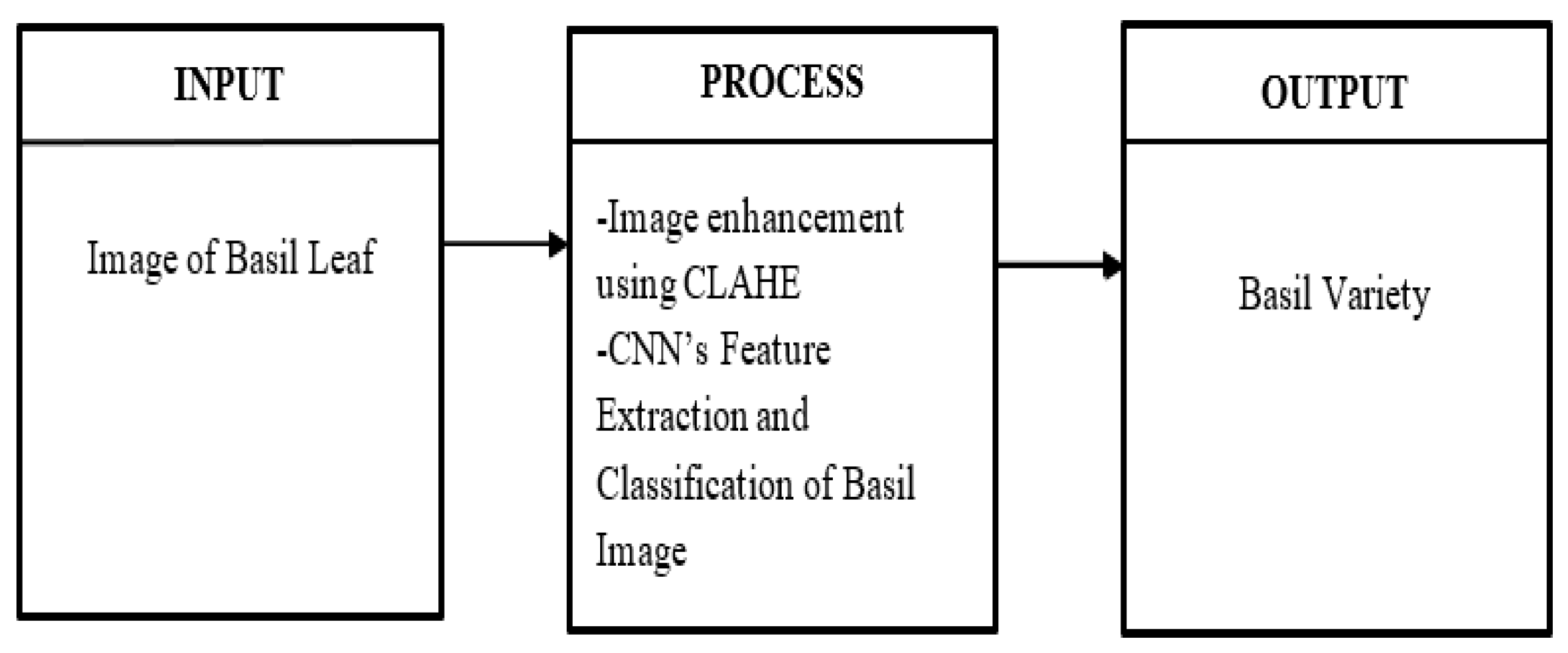 Engproc 92 00054 g001