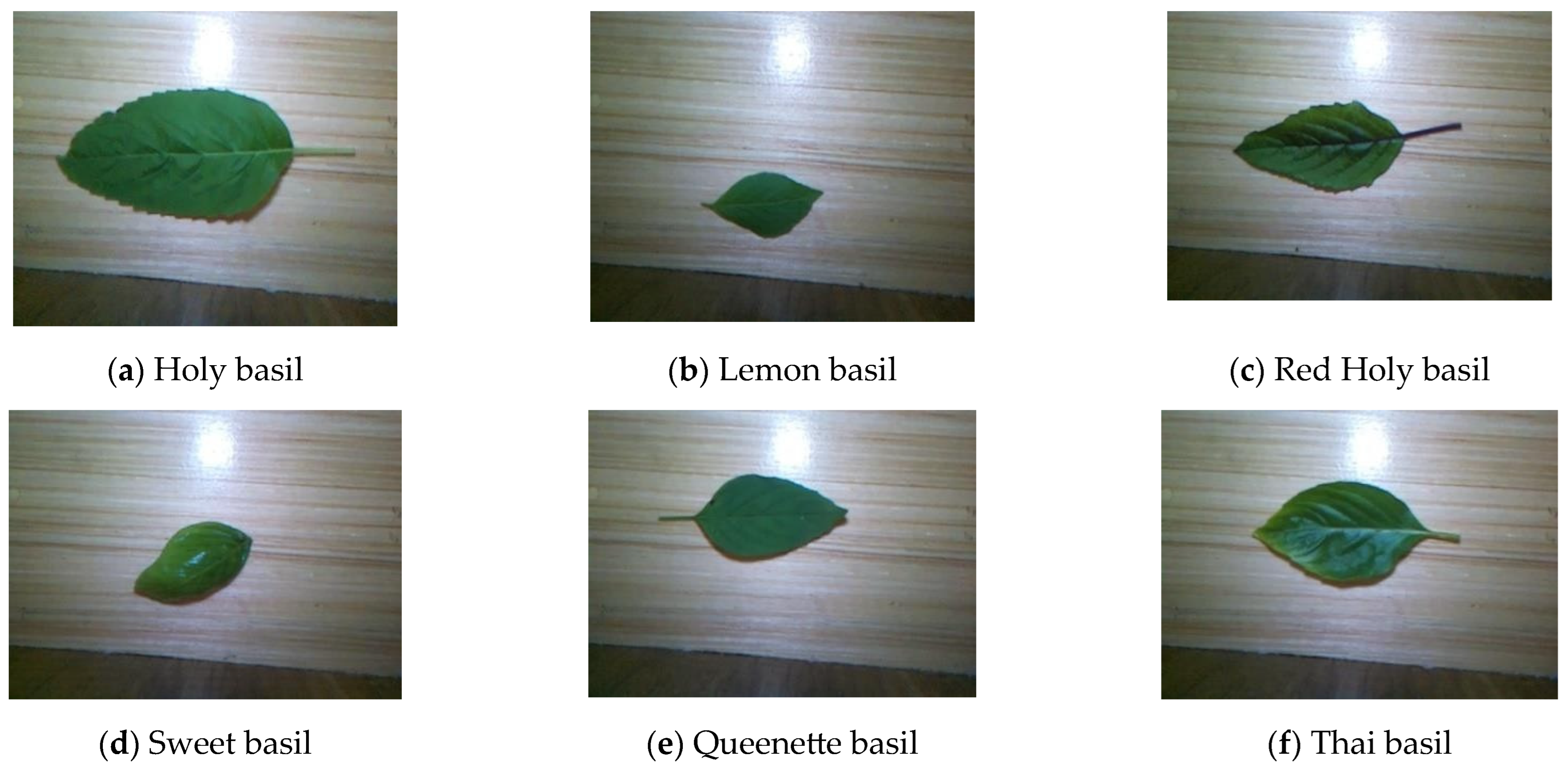 Engproc 92 00054 g006