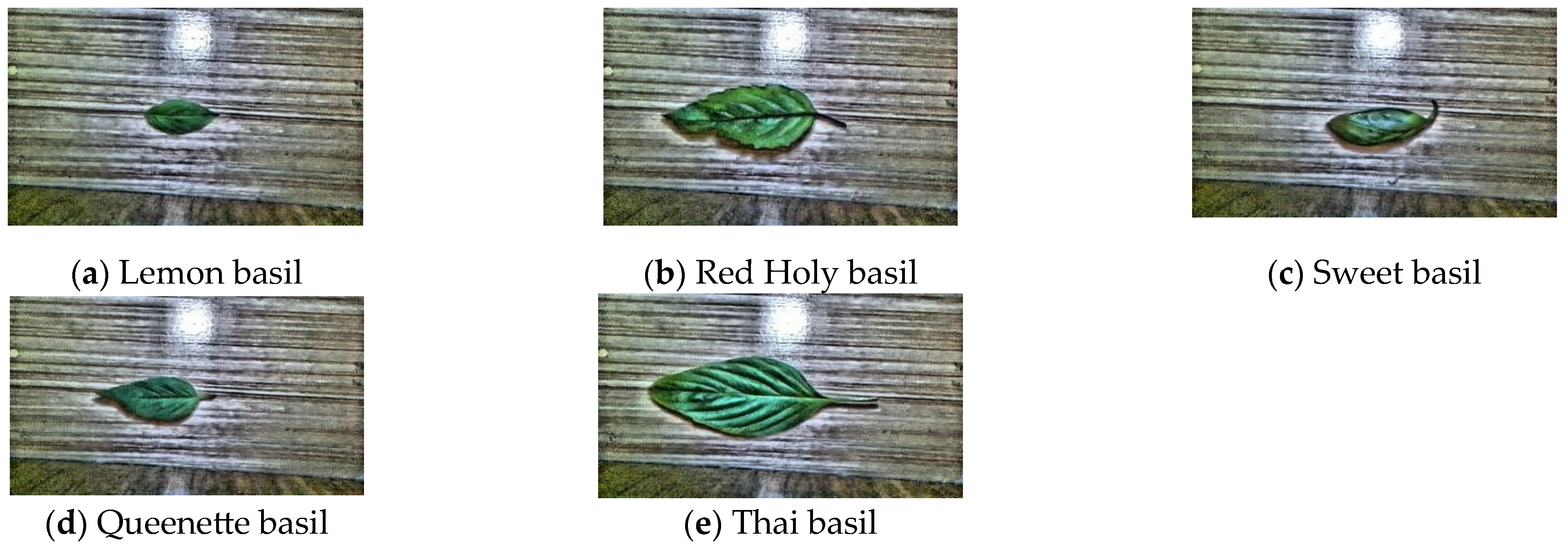 Engproc 92 00054 g009