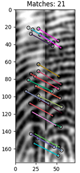 Engproc 92 00064 i003