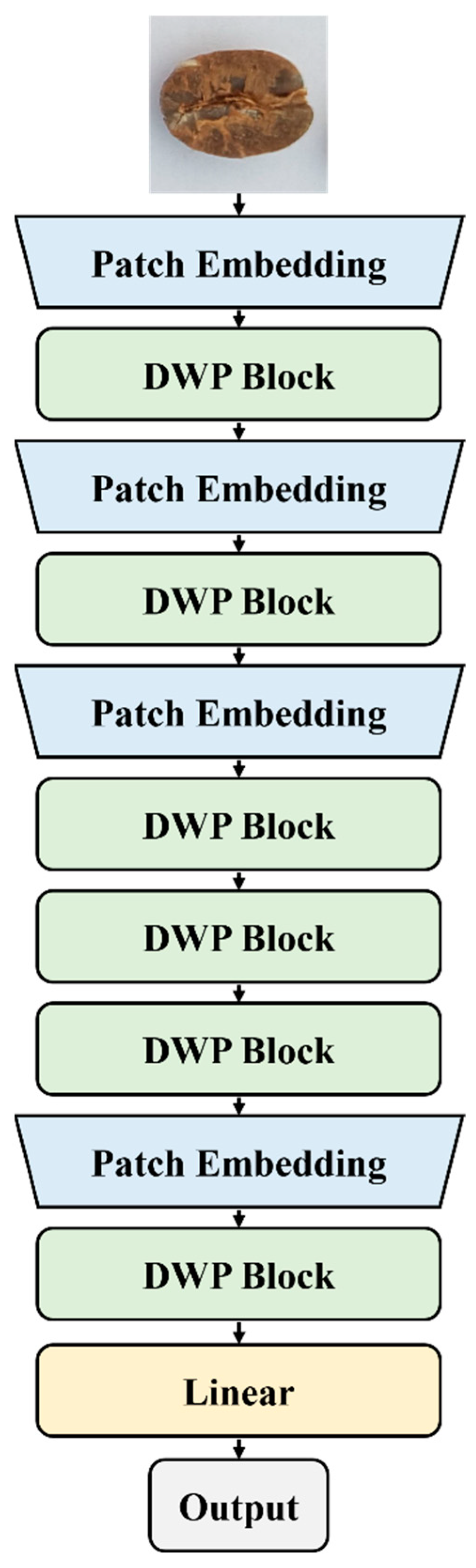 Engproc 92 00069 g001