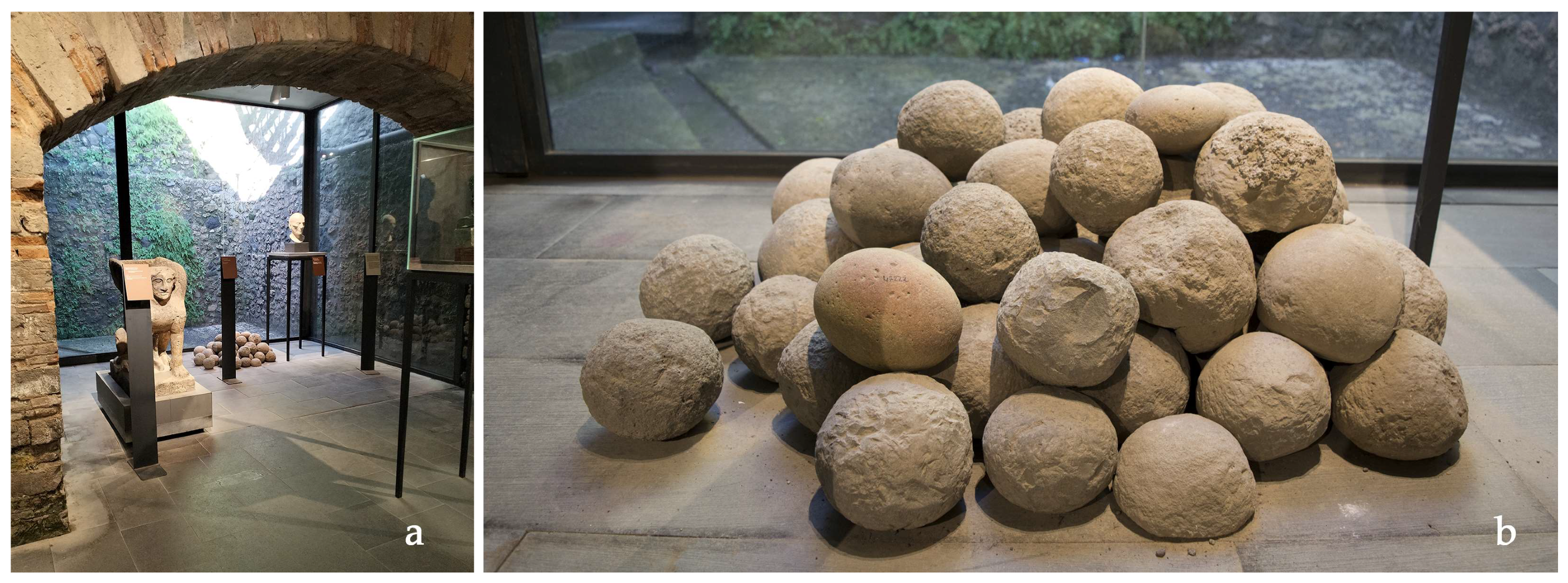 Engproc 96 00003 g001