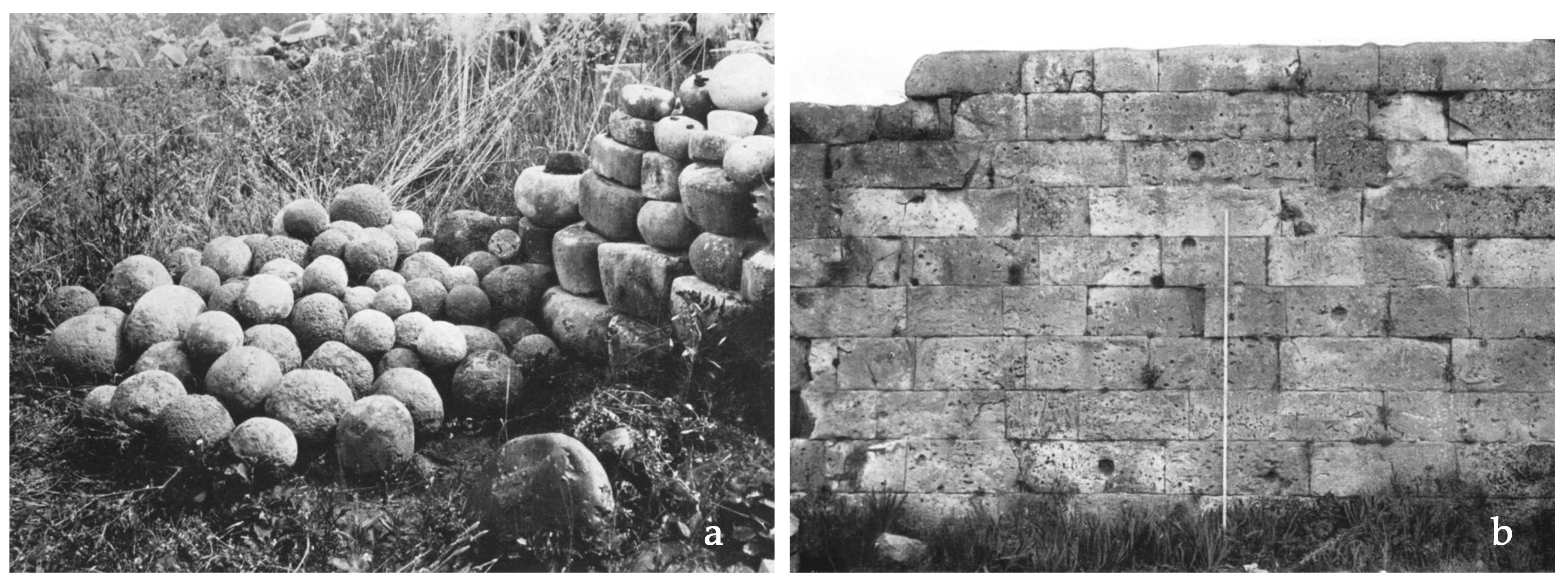 Engproc 96 00003 g002