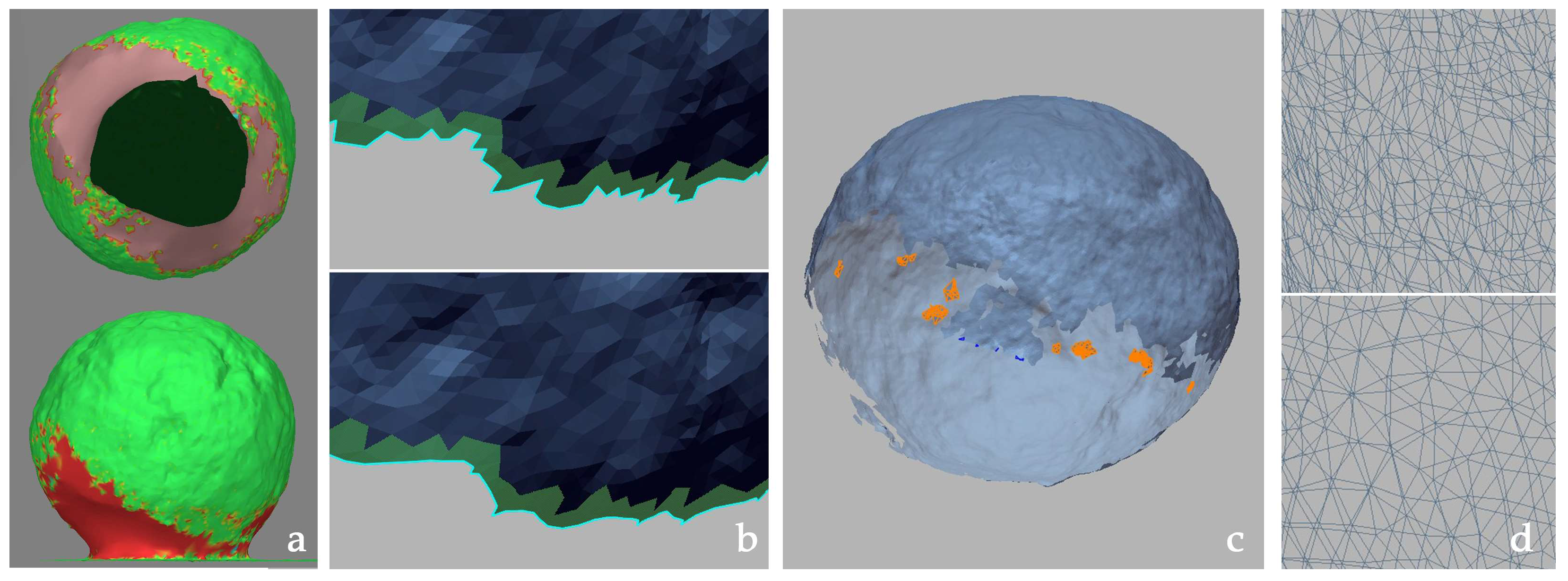 Engproc 96 00003 g004