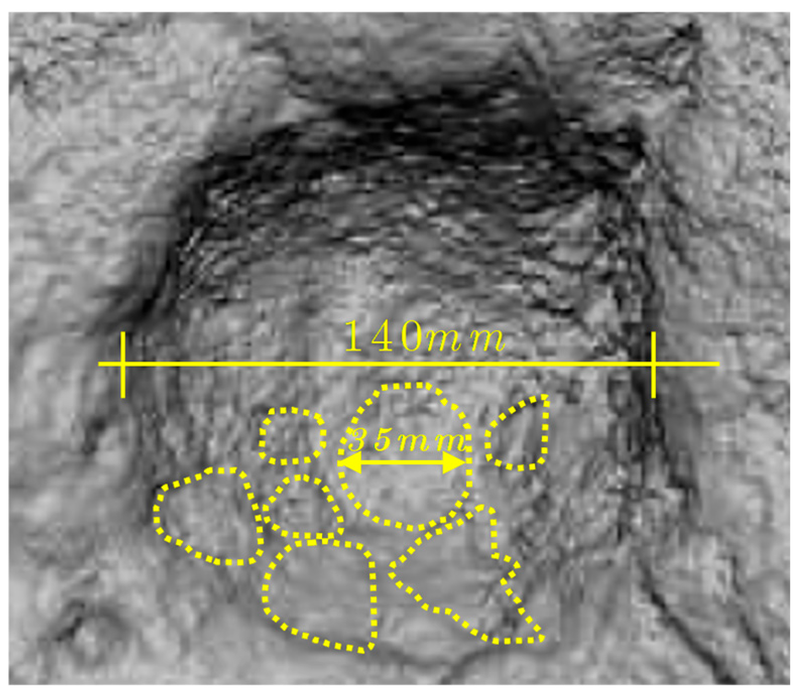 Engproc 96 00008 g002