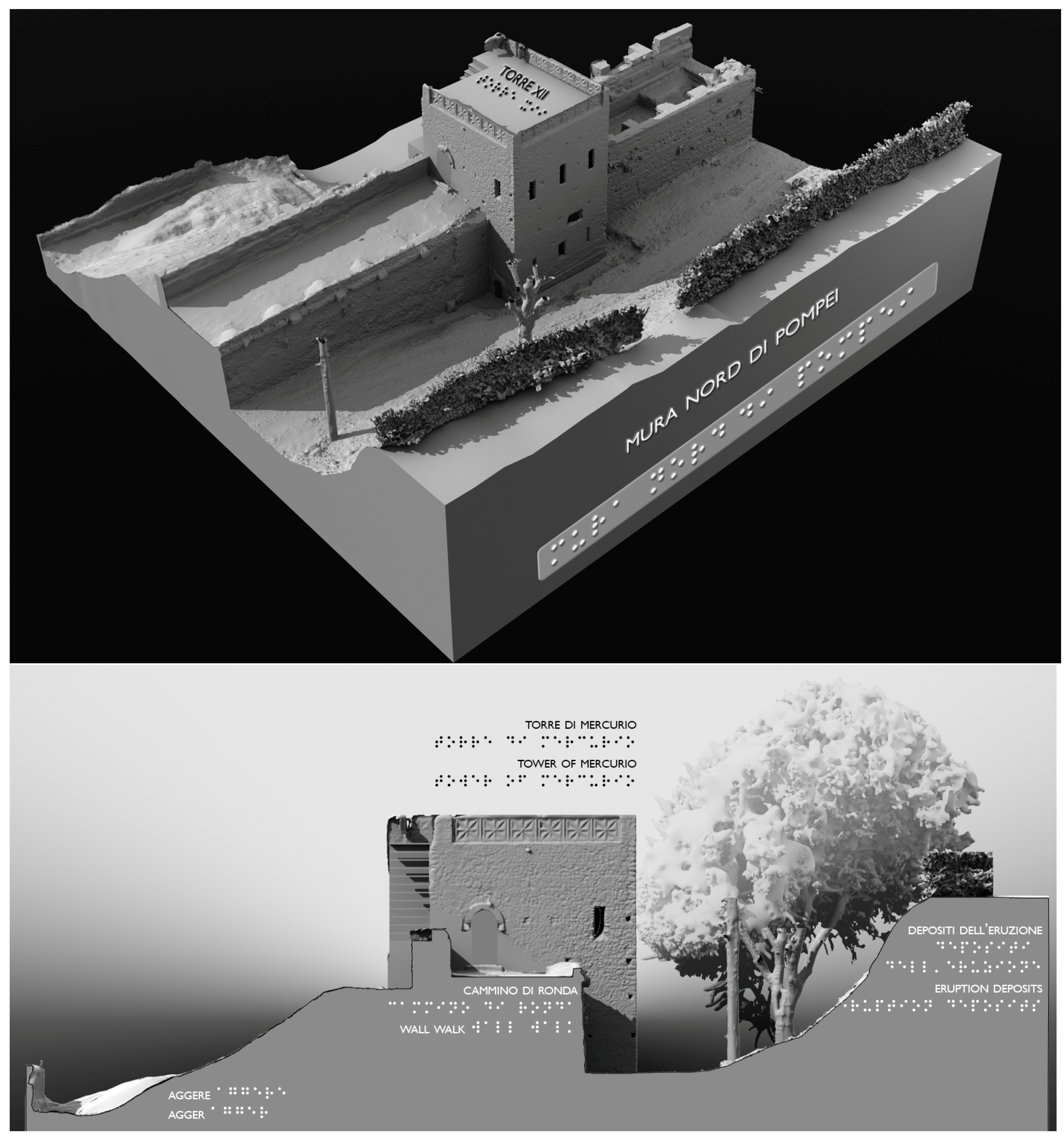 Engproc 96 00011 g007