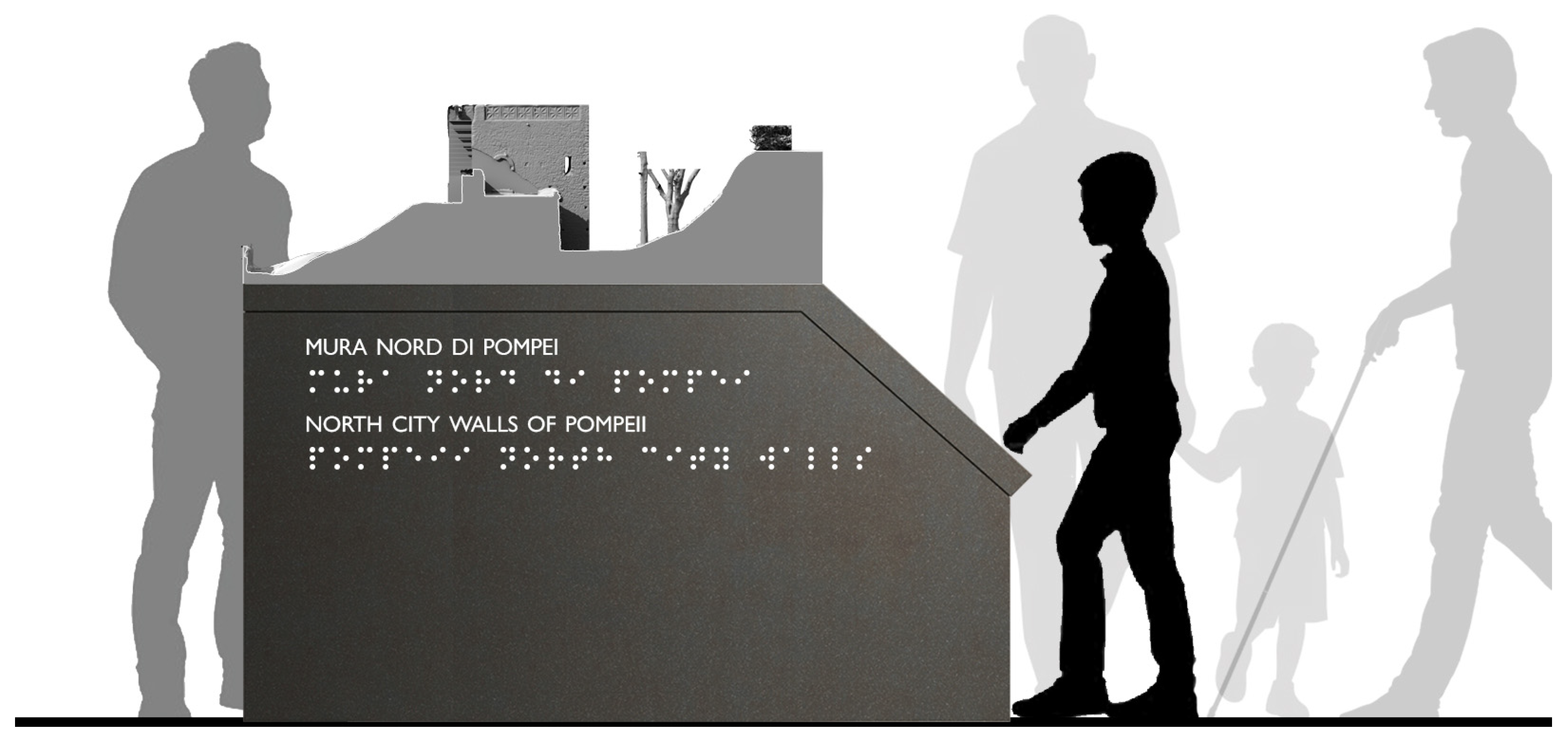 Engproc 96 00011 g008