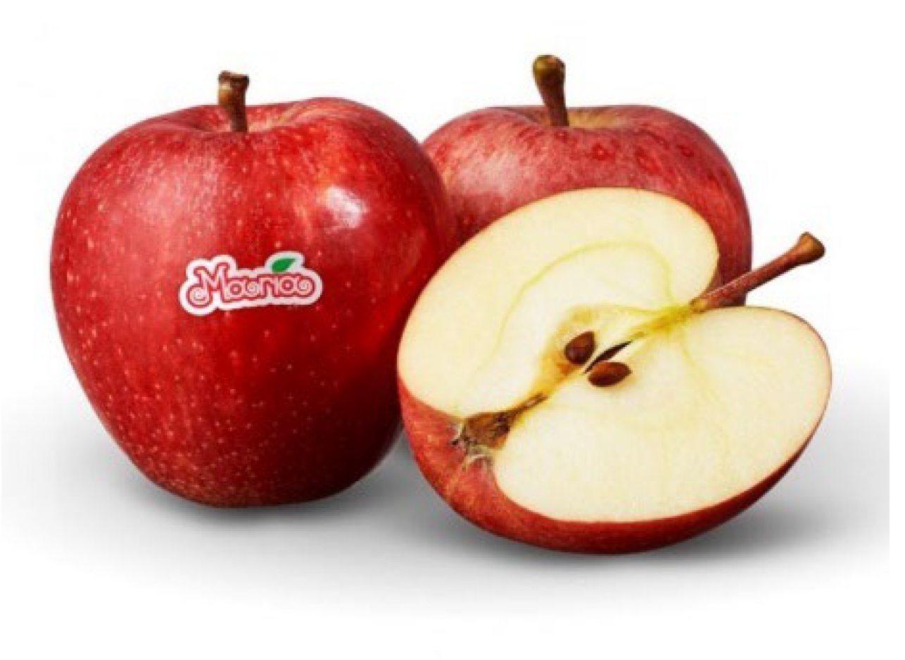 Engproc 97 00051 g002