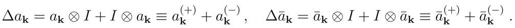 Entropy 04 00168 i003