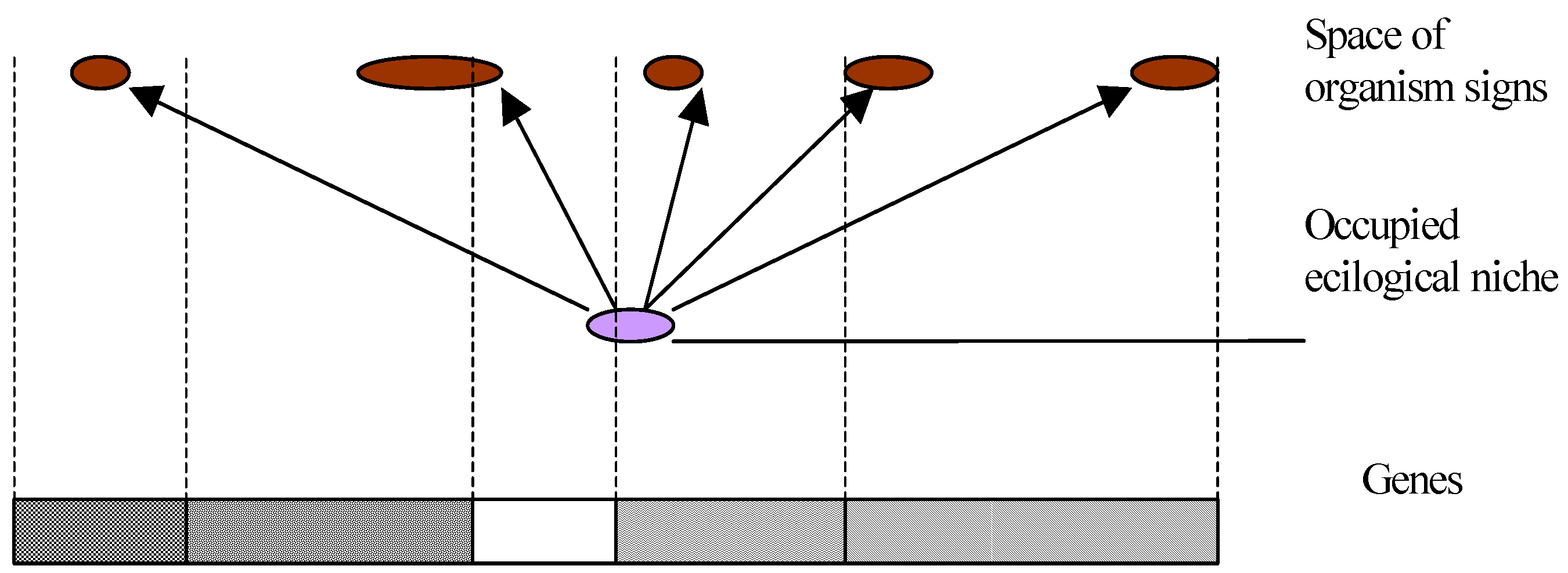 Entropy 06 00223 g001 550