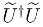 Entropy 07 00208 i004