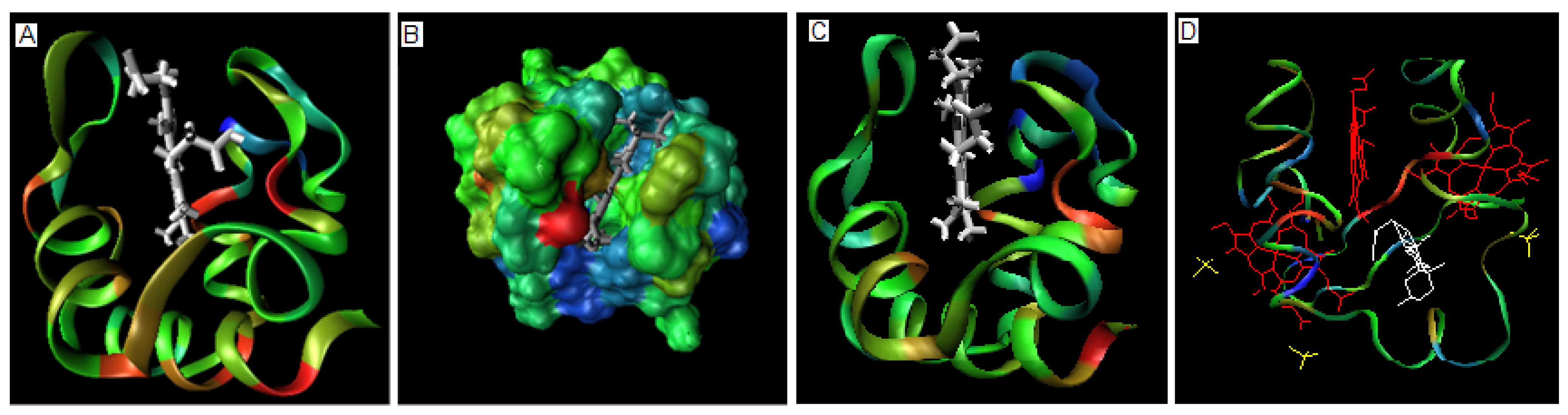 Entropy 11 00062 g002