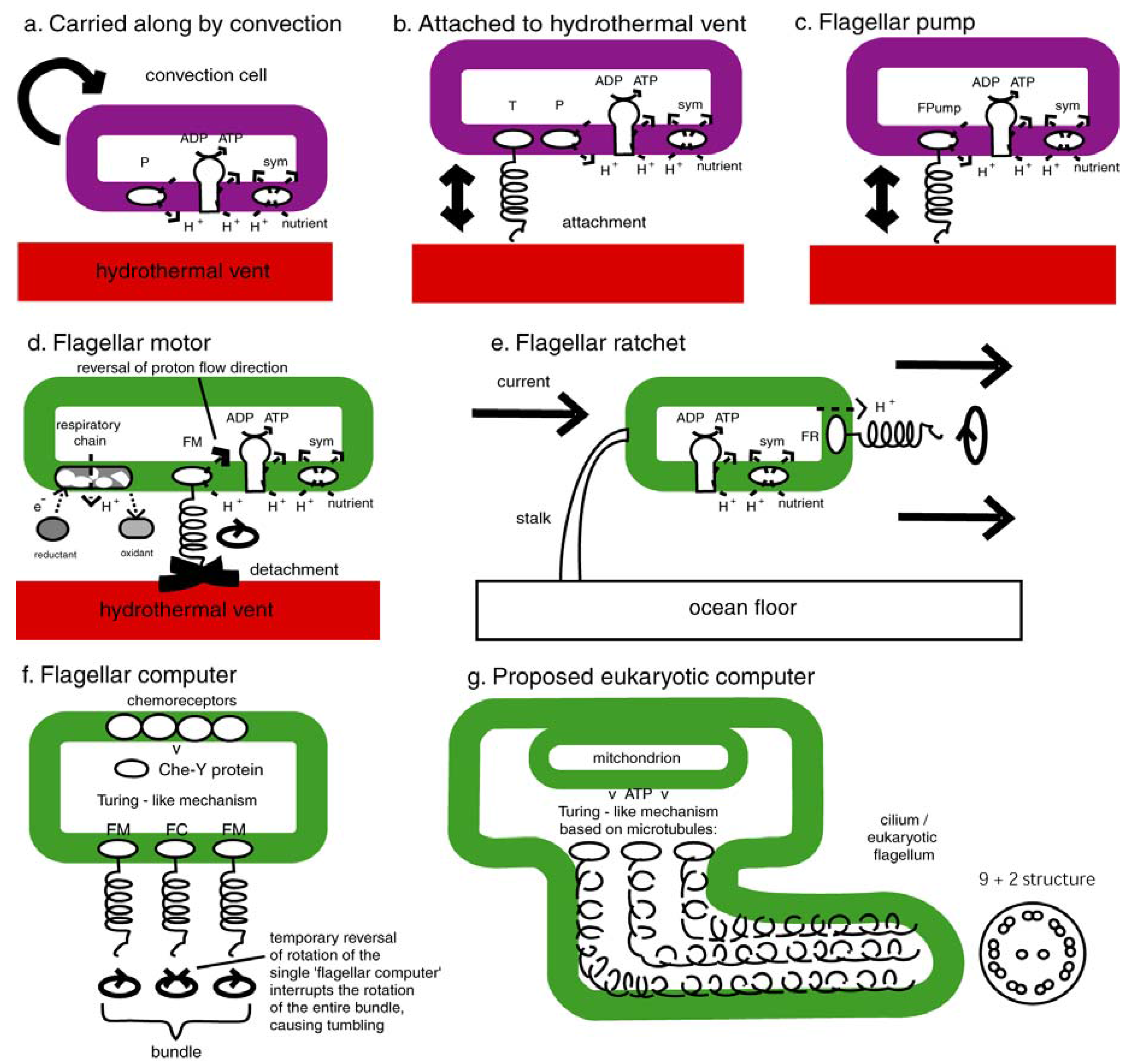 Entropy 11 00463 g003