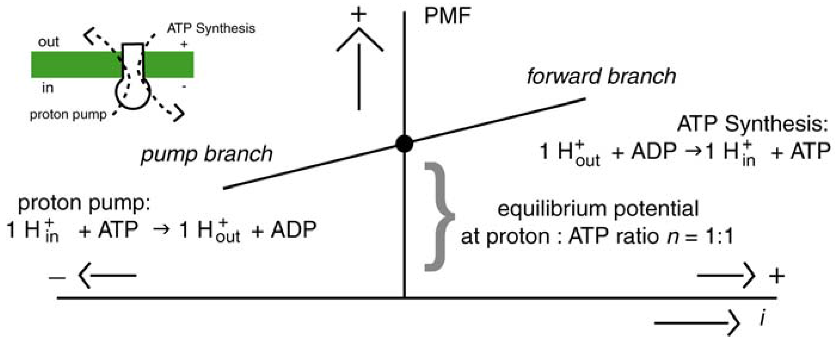 Entropy 11 00463 g006
