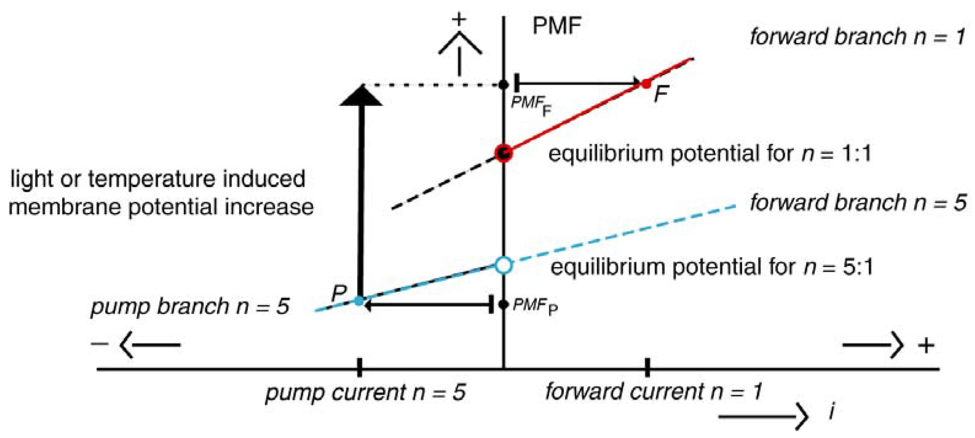 Entropy 11 00463 g008