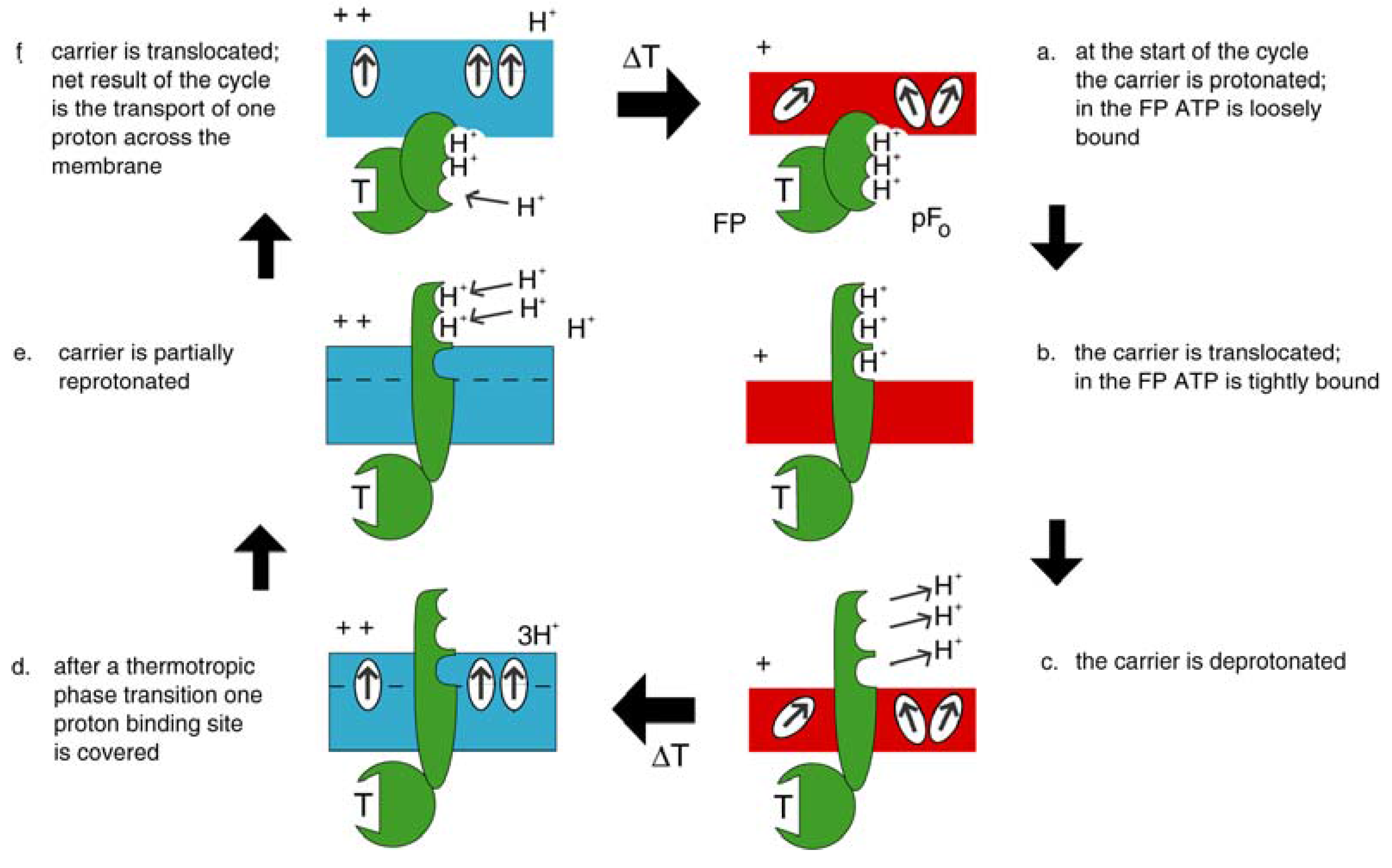 Entropy 11 00463 g010