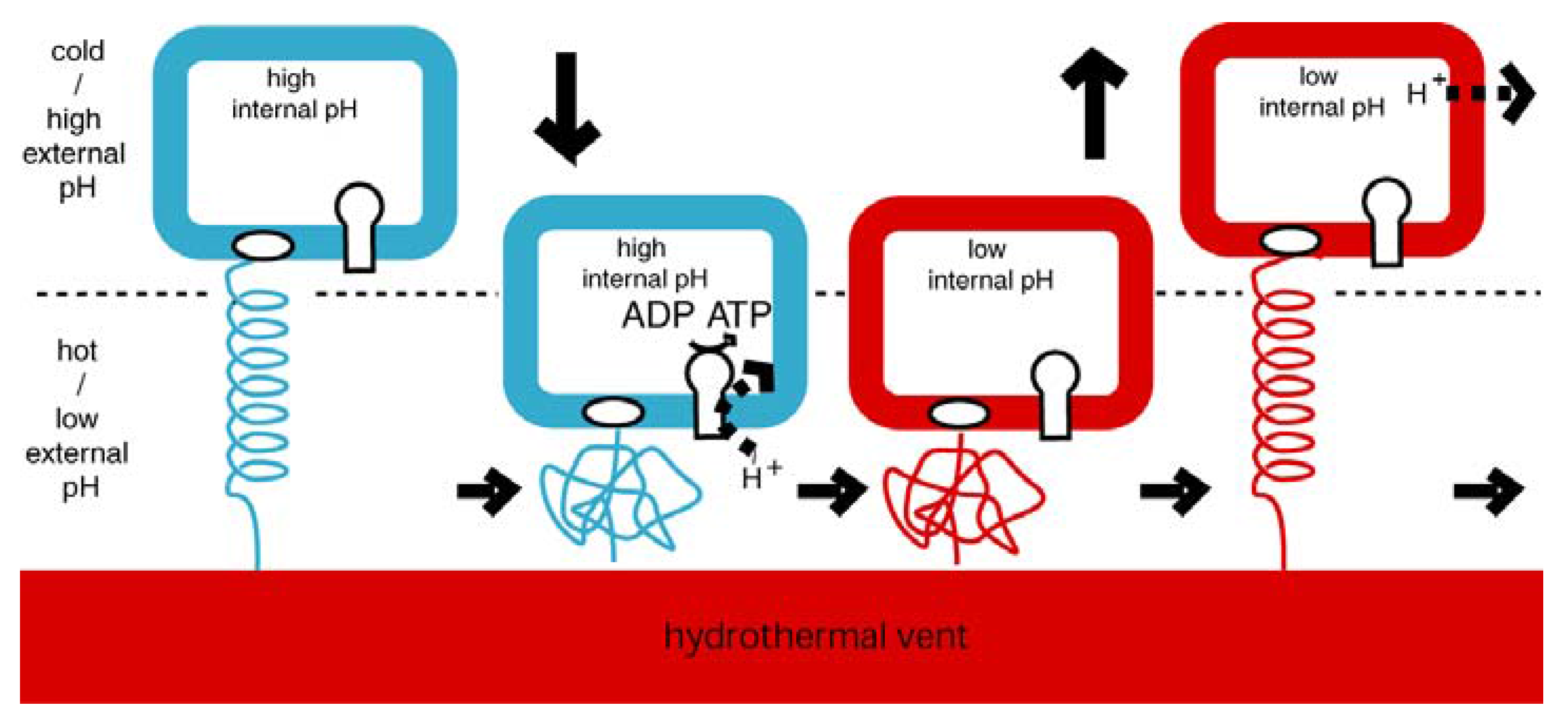Entropy 11 00463 g011