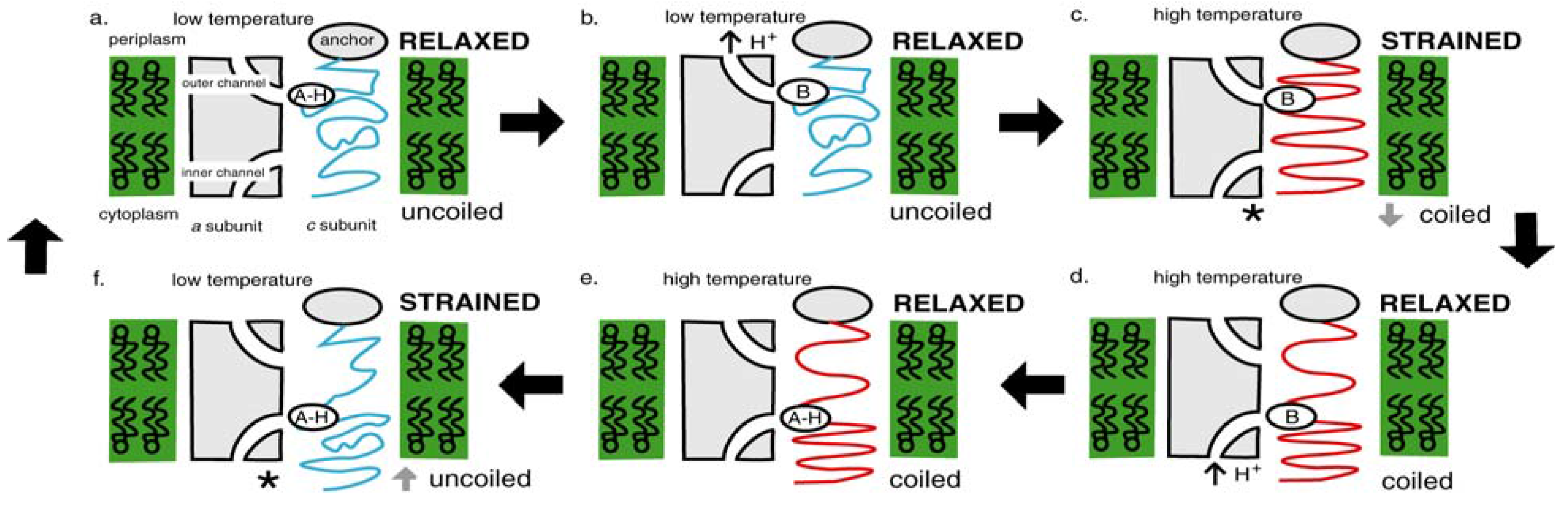 Entropy 11 00463 g012
