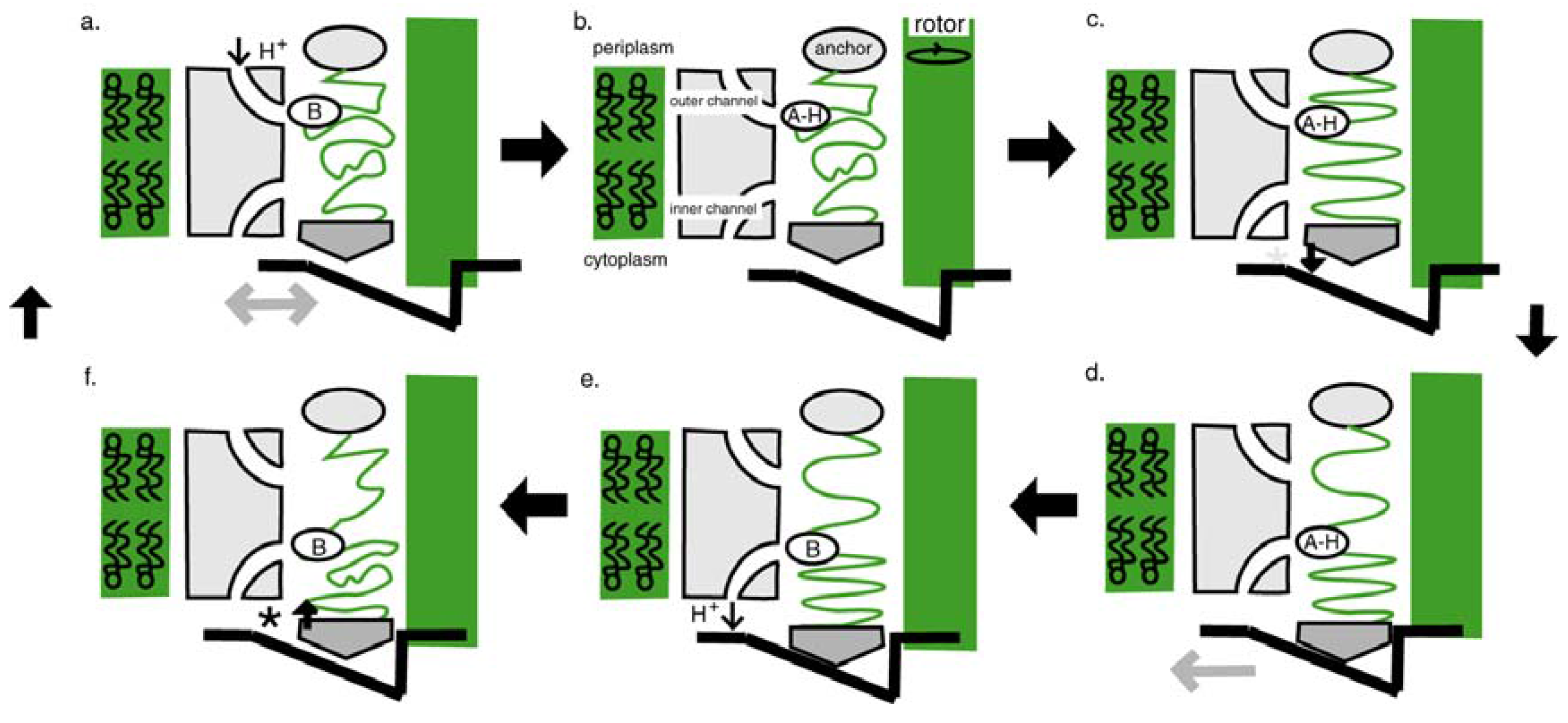 Entropy 11 00463 g017
