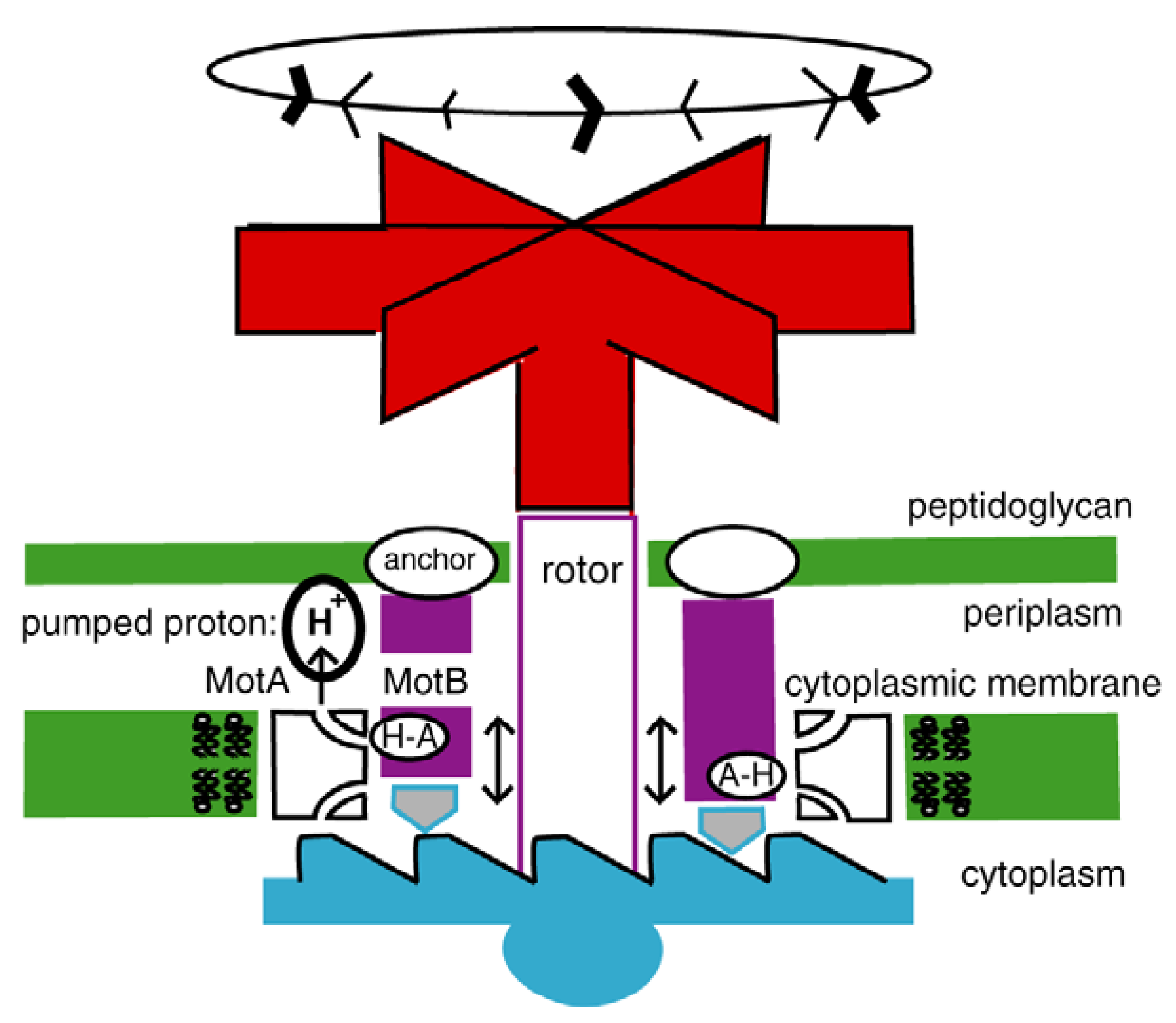 Entropy 11 00463 g019