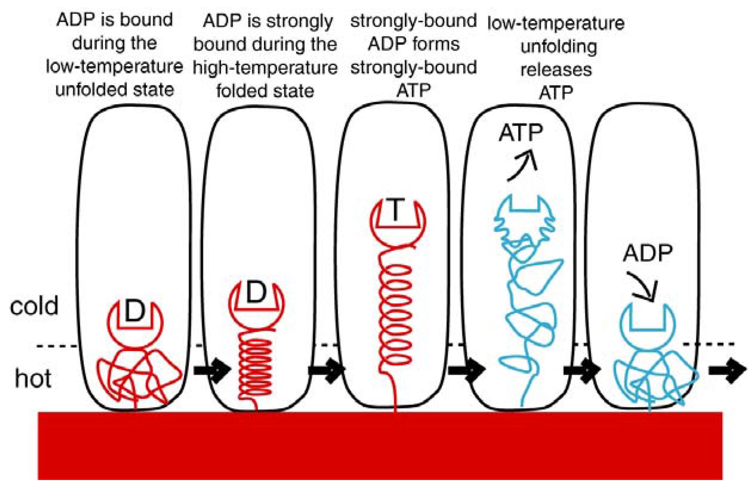 Entropy 11 00463 g021