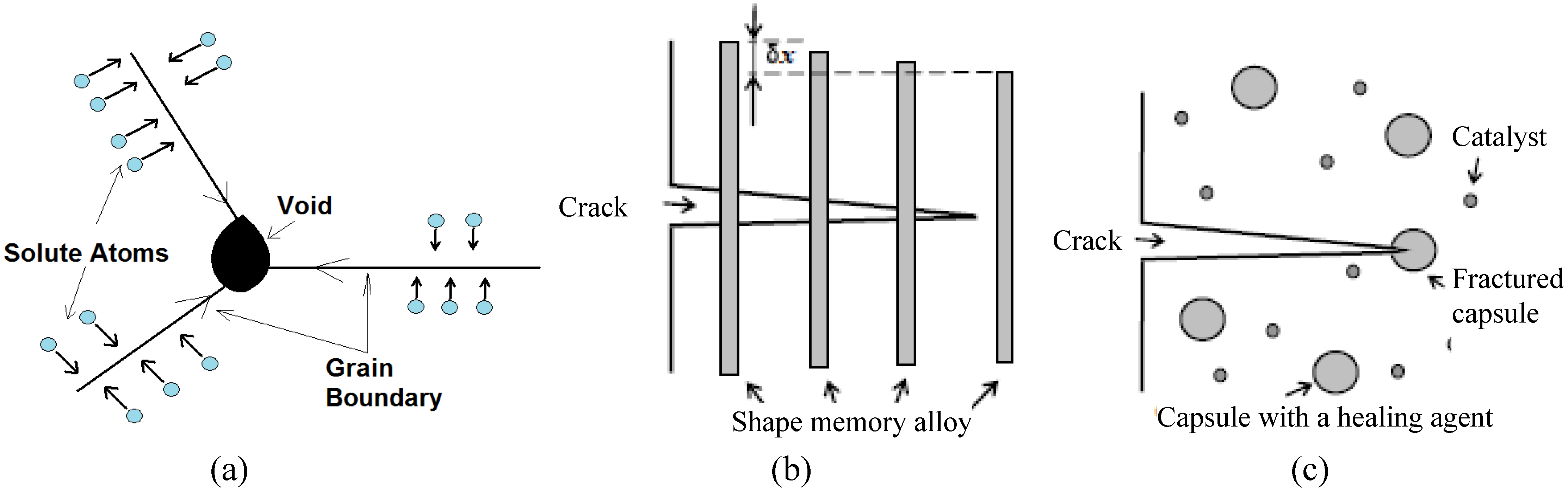 Entropy 12 01345 g013 1024