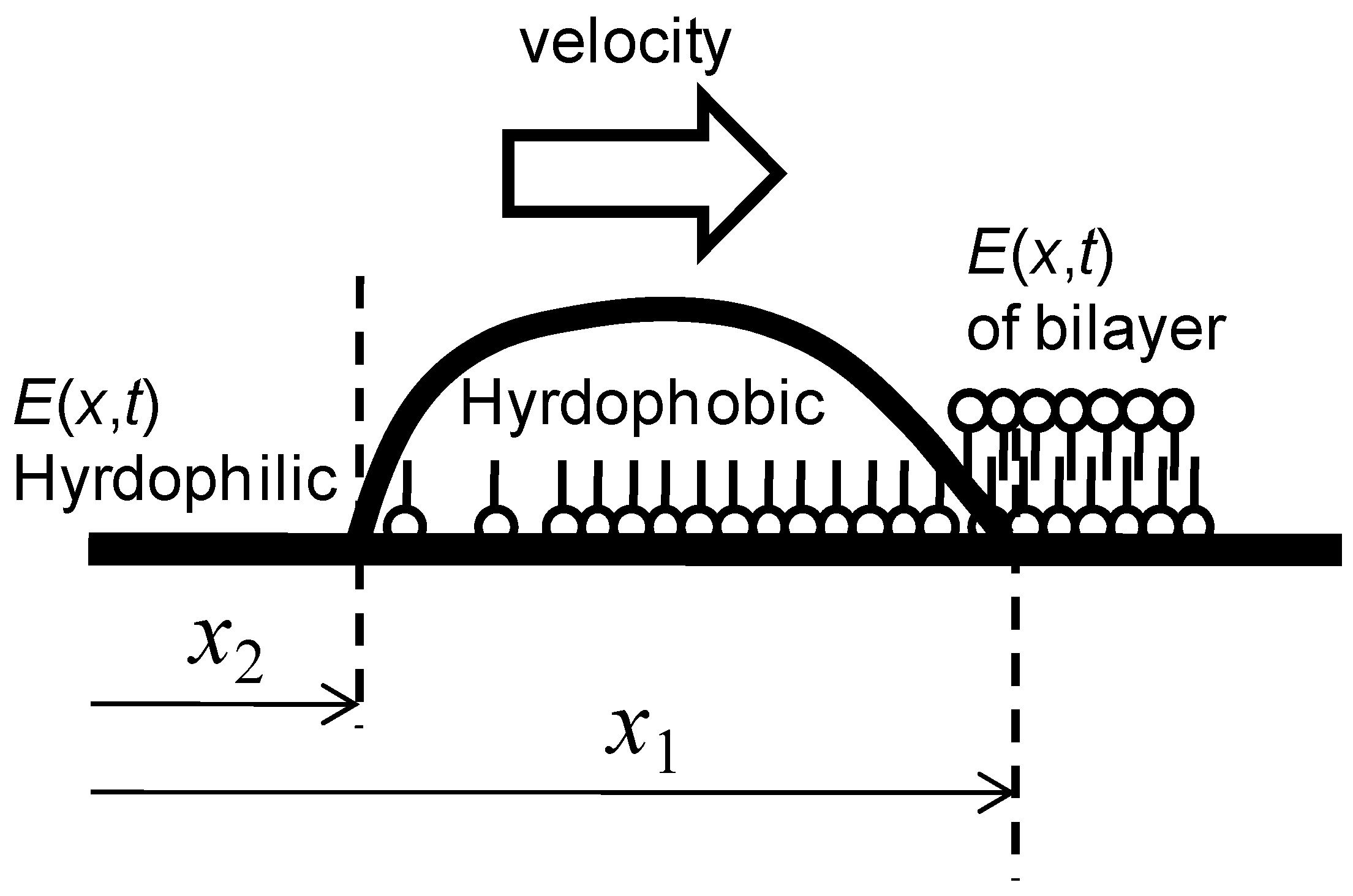 Entropy 12 02308 g003 1024