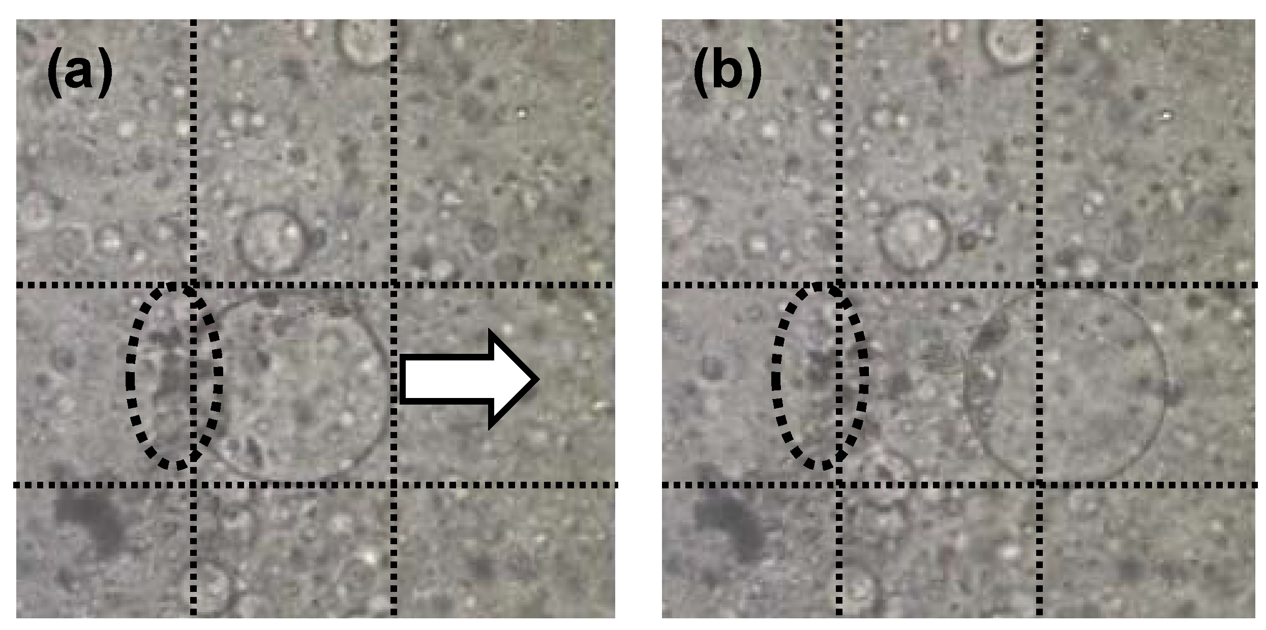 Entropy 12 02308 g013 1024