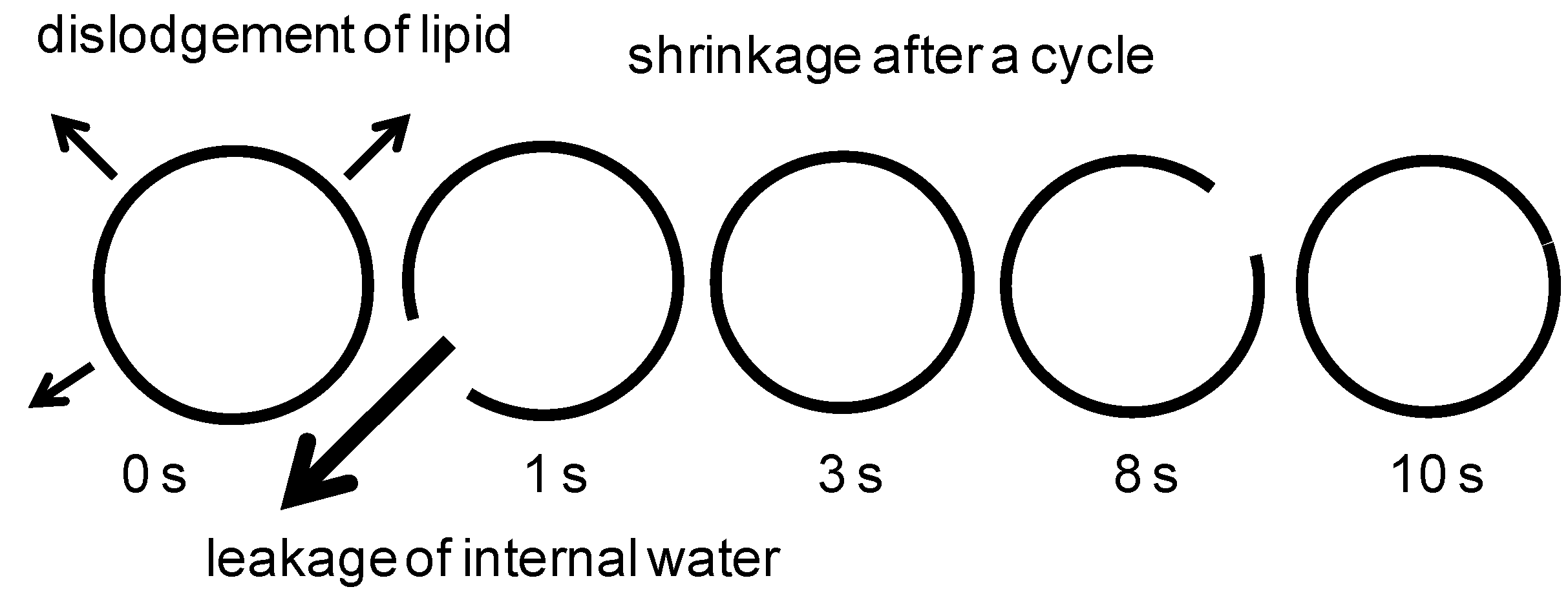 Entropy 12 02308 g014 1024