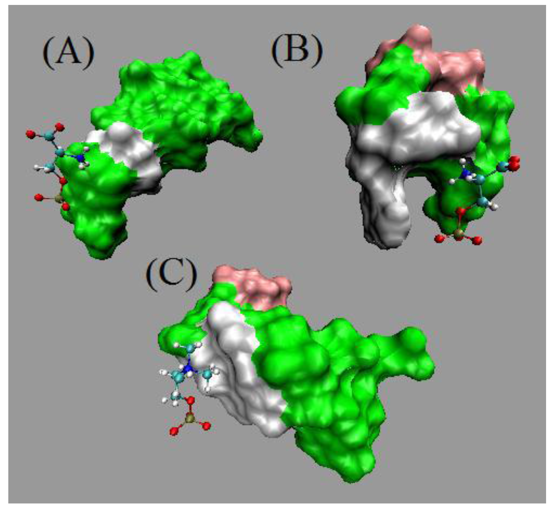 Entropy 12 02450 g009 1024