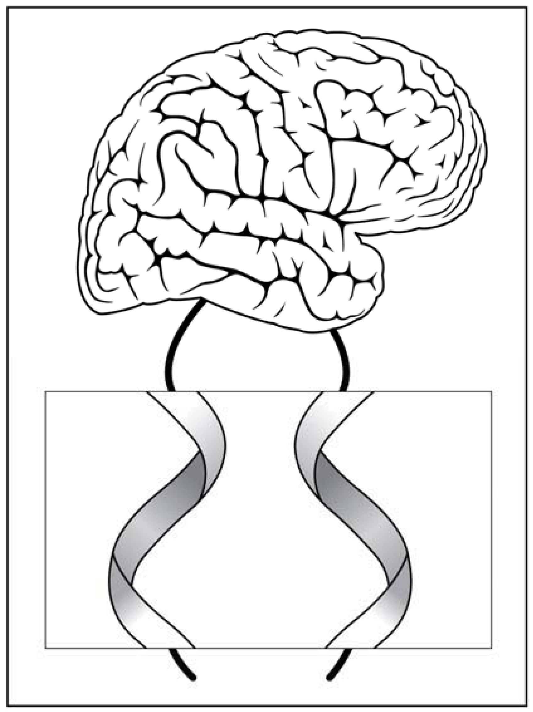 Entropy 13 00001 g003