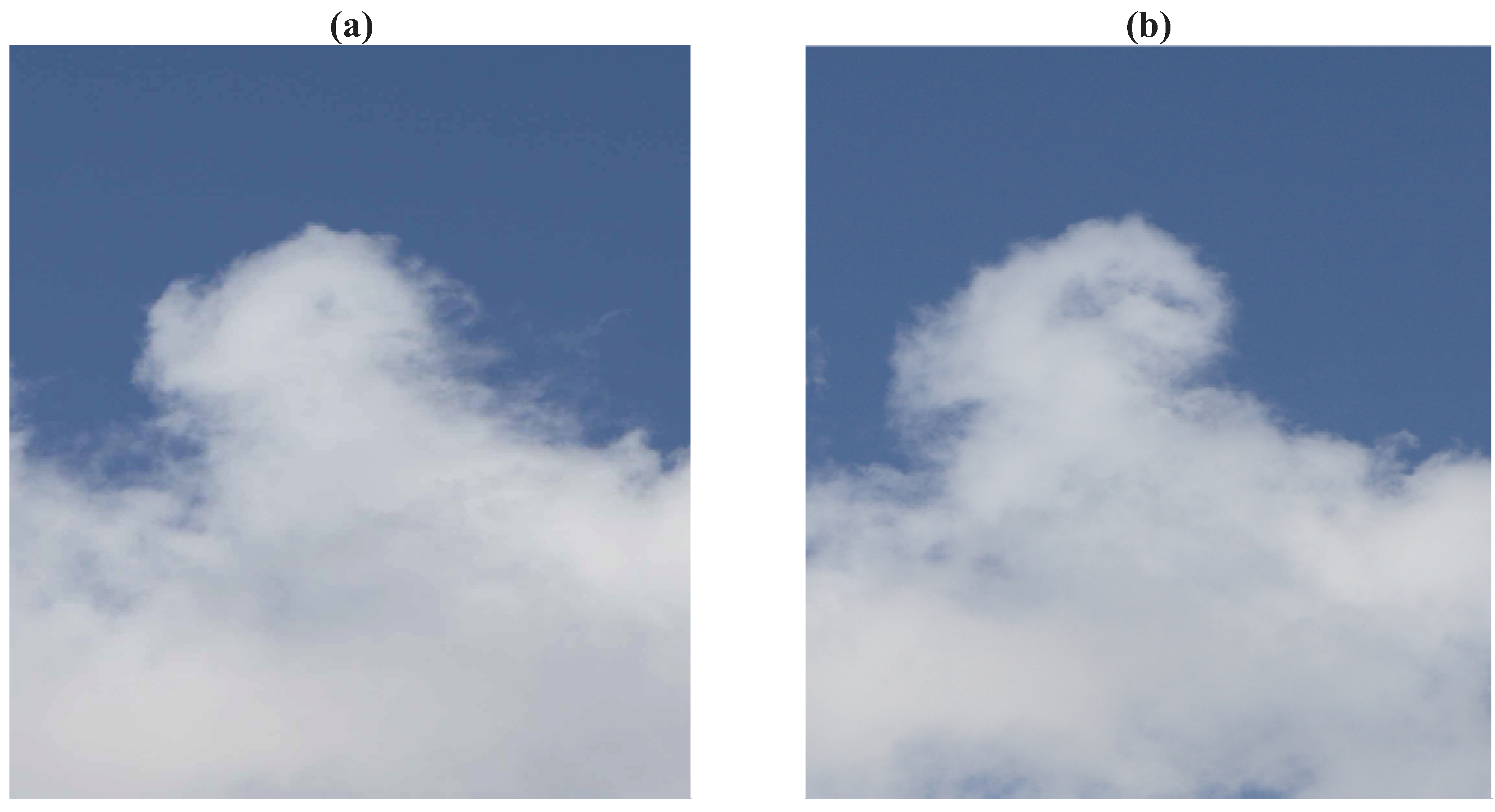 Entropy 13 01555 g017a 1024