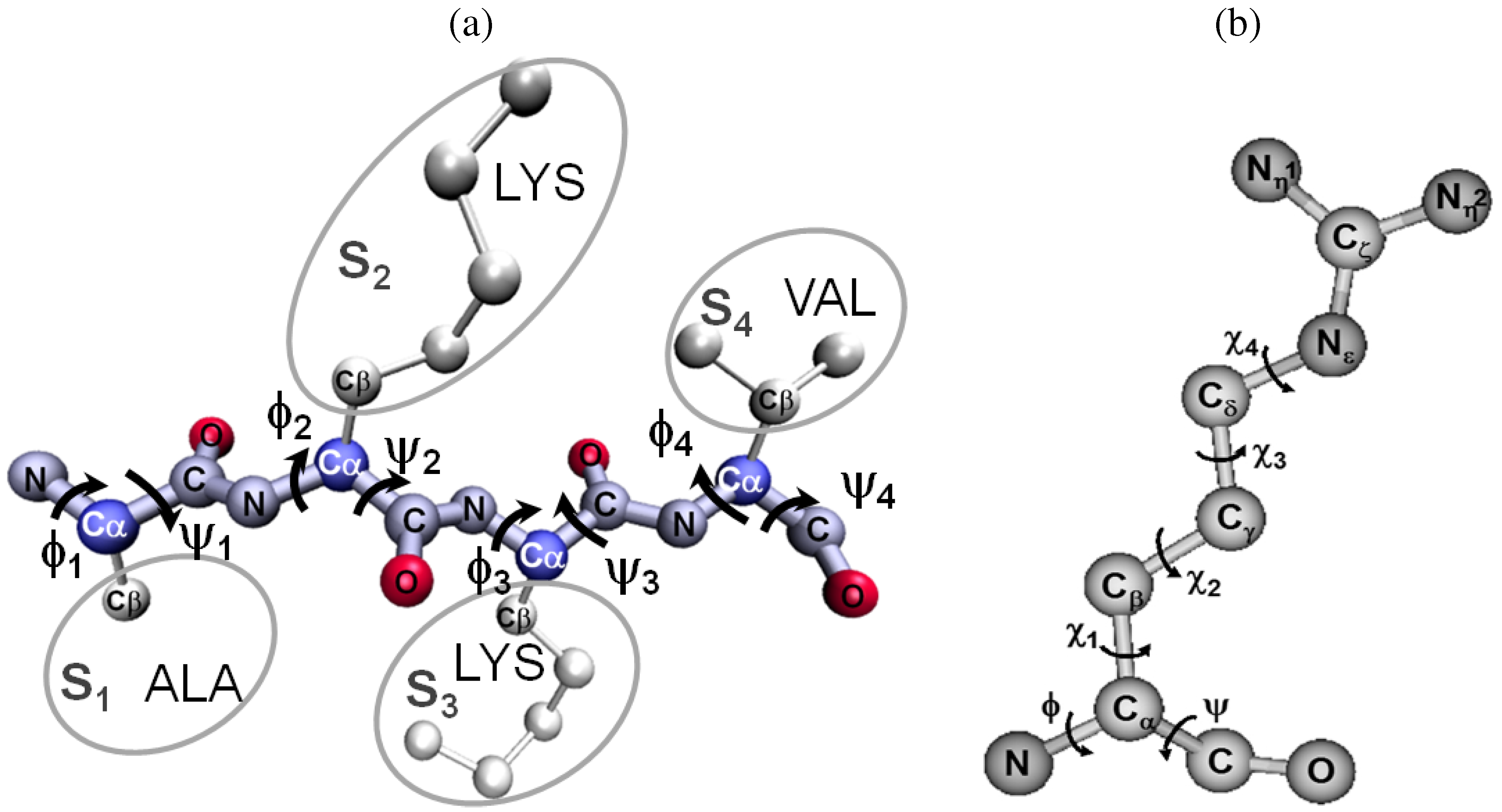 Entropy | Free Full-Text | Modeling Structures and Motions of Loops in Protein Molecules Entropy | Free Full-Text | Modeling Structures and Motions of Loops in Protein Molecules