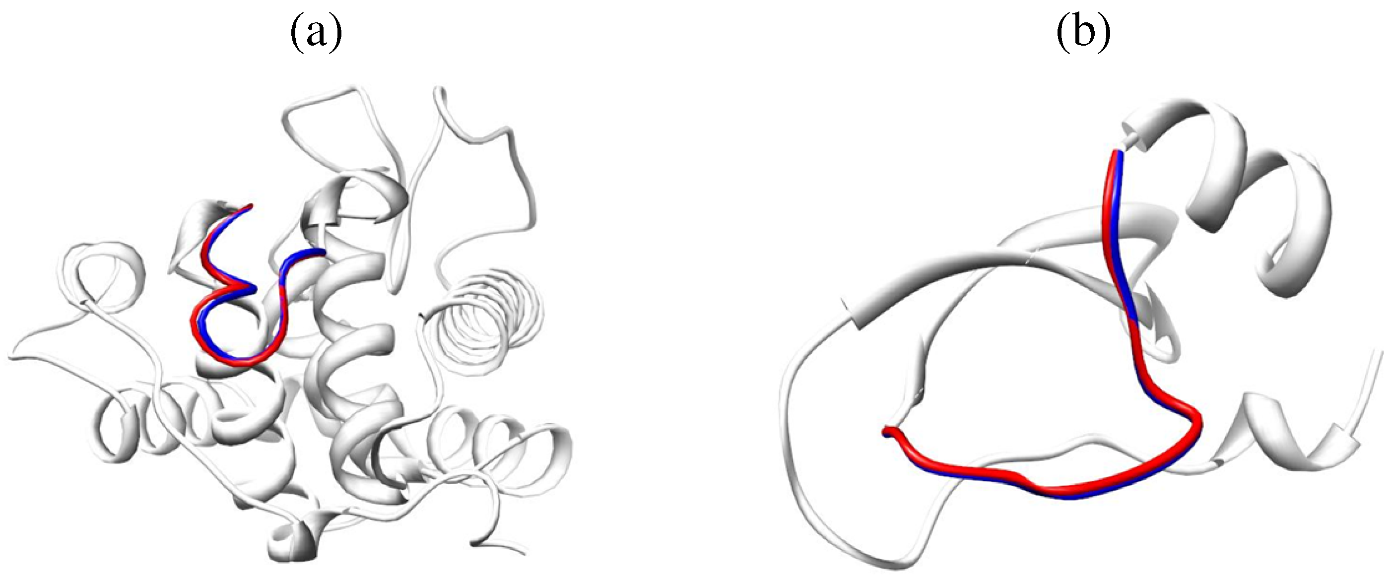 Entropy Free Full Text Modeling Structures And Motions Of Loops In Protein Molecules Html