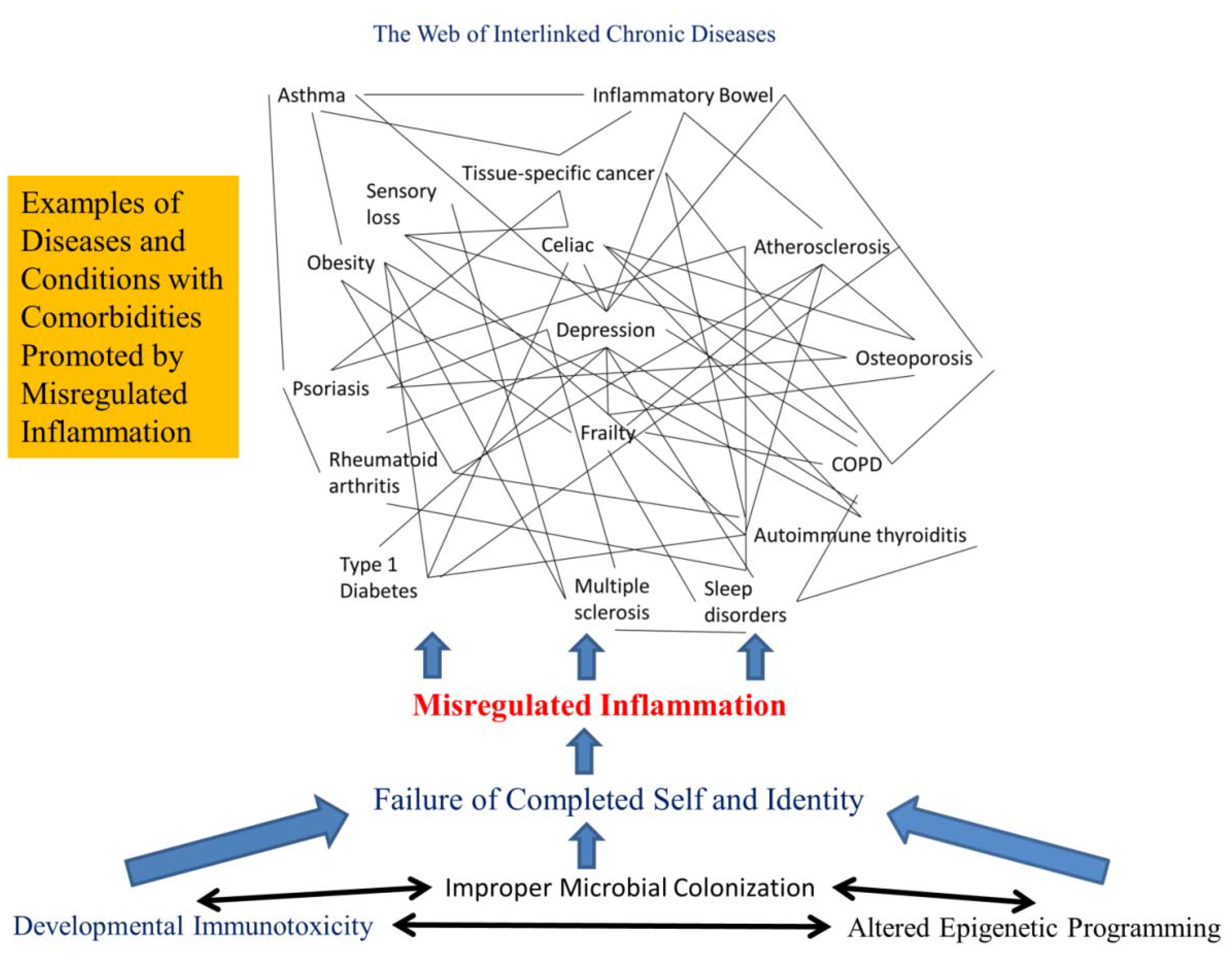 free Random Walks, Critical Phenomena, and Triviality