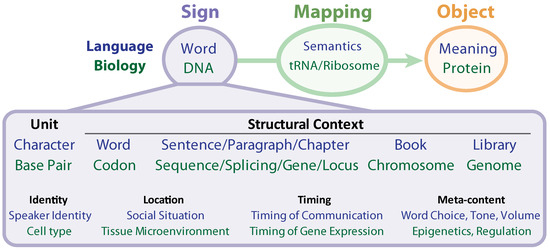 Entropy Free Full Text Biosemiotic Entropy Of The Genome Mutations And Epigenetic Imbalances Resulting In Cancer Html