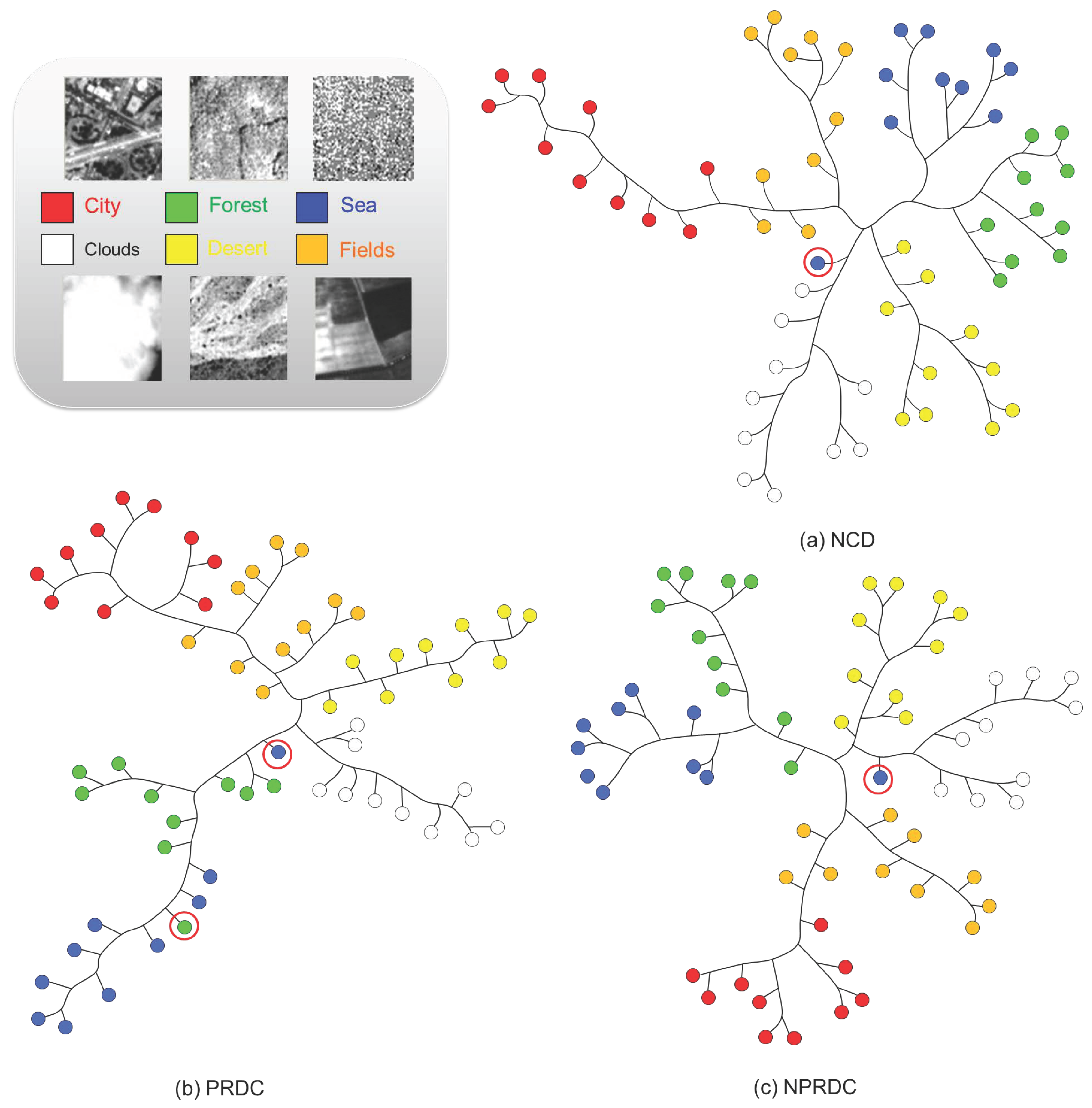 Entropy 15 00407 g001