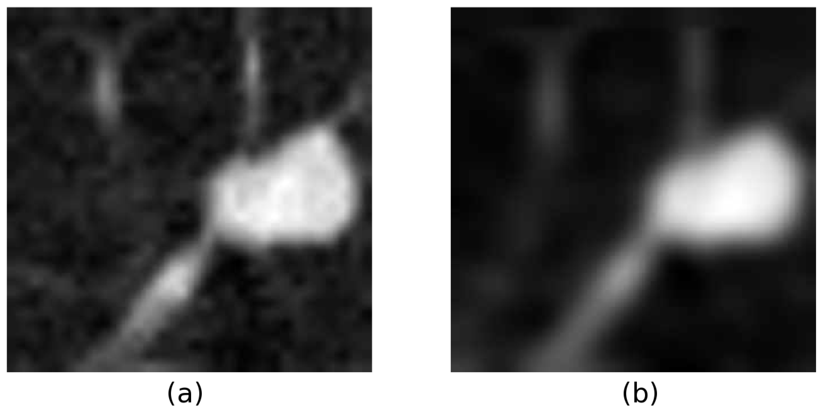 Entropy 15 00507 g004