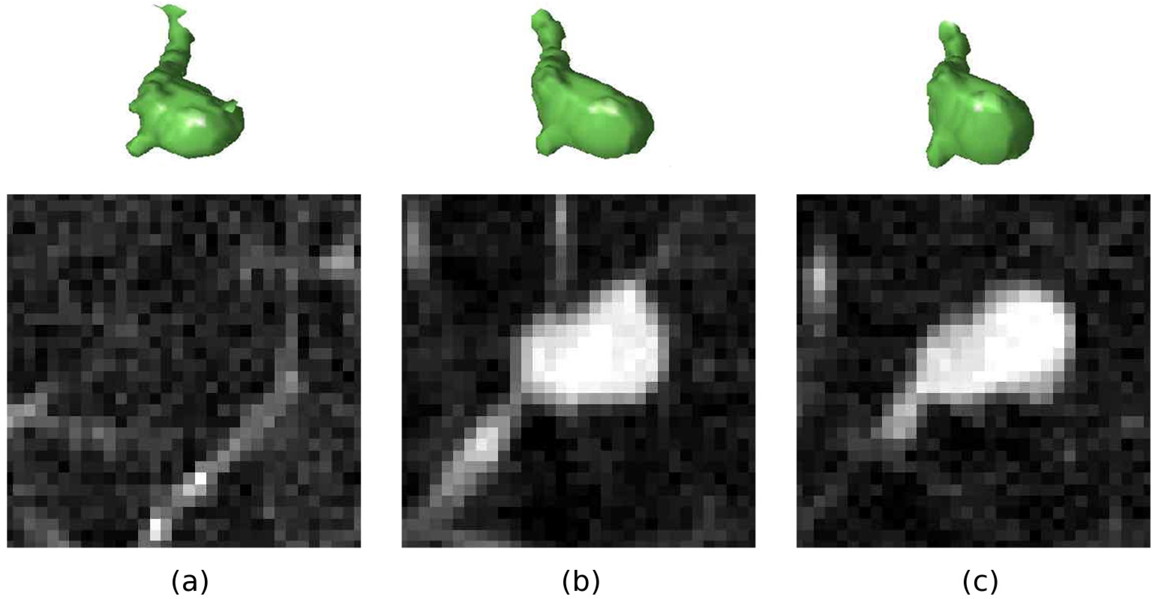 Entropy 15 00507 g005