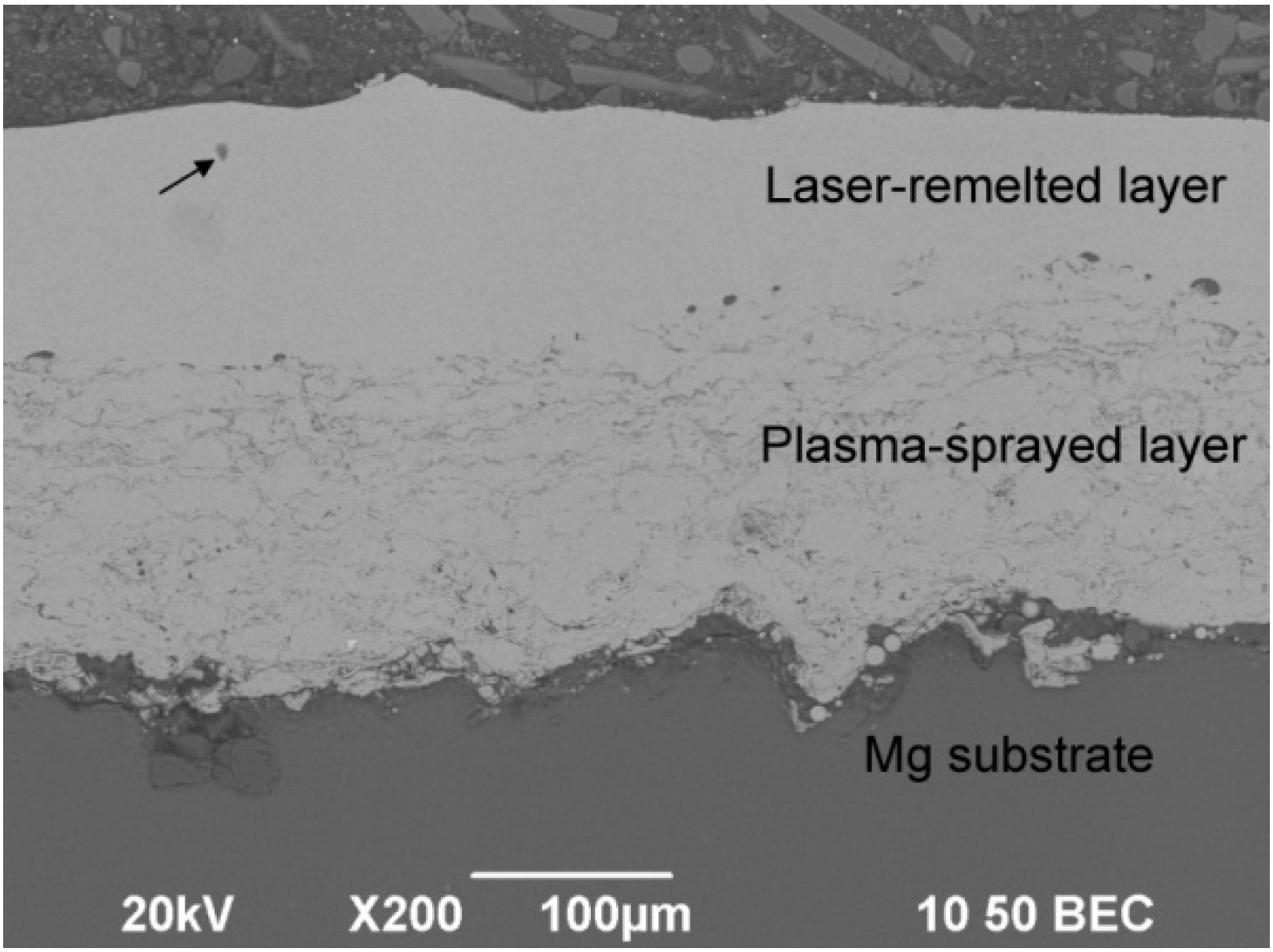 Entropy 15 02833 g001