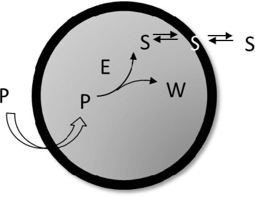Entropy 16 02488f7 1024